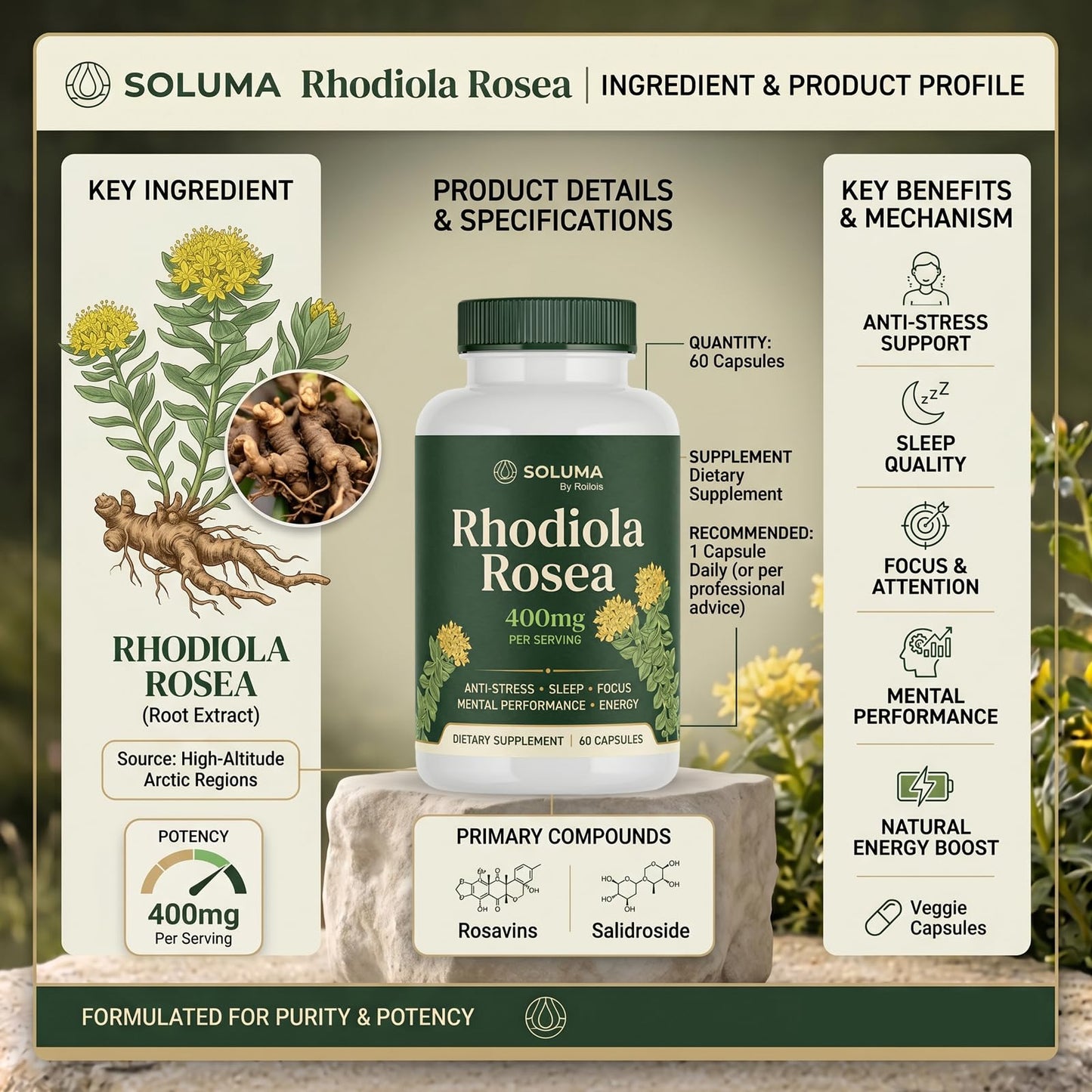 Roilois Soluma Rhodiola Rosea Capsule 1 Count