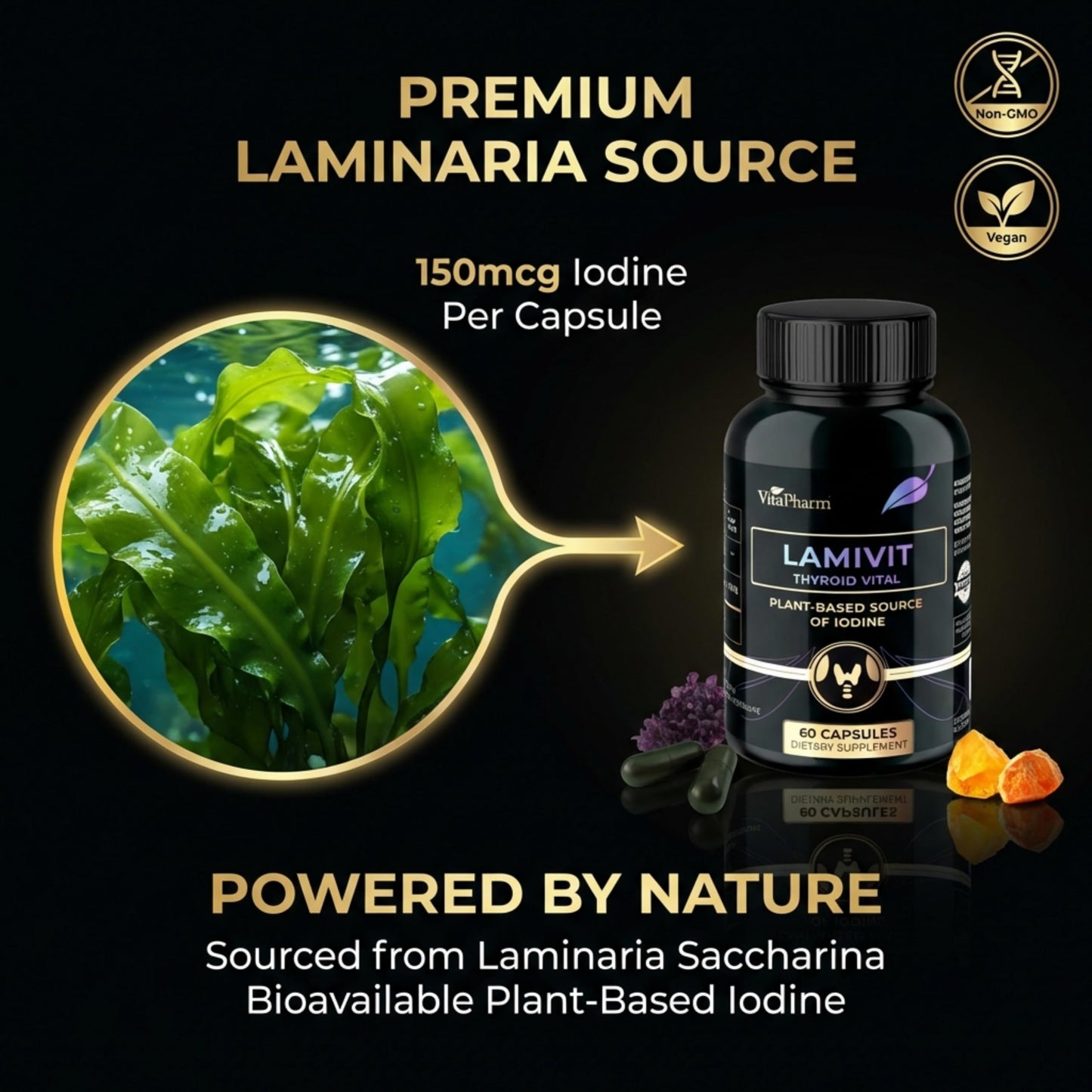 VitaPharm Lamivit Iodine Supplement Capsule 60 Count
