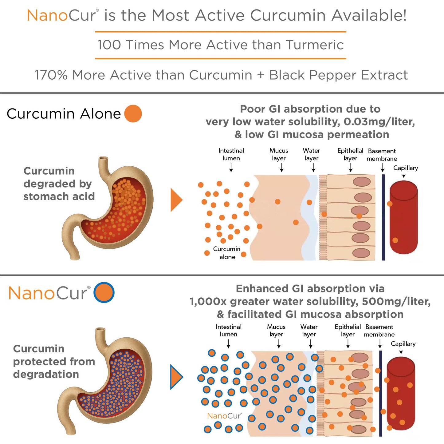 Nanocur Turmeric Curcumin Capsule 90 Count