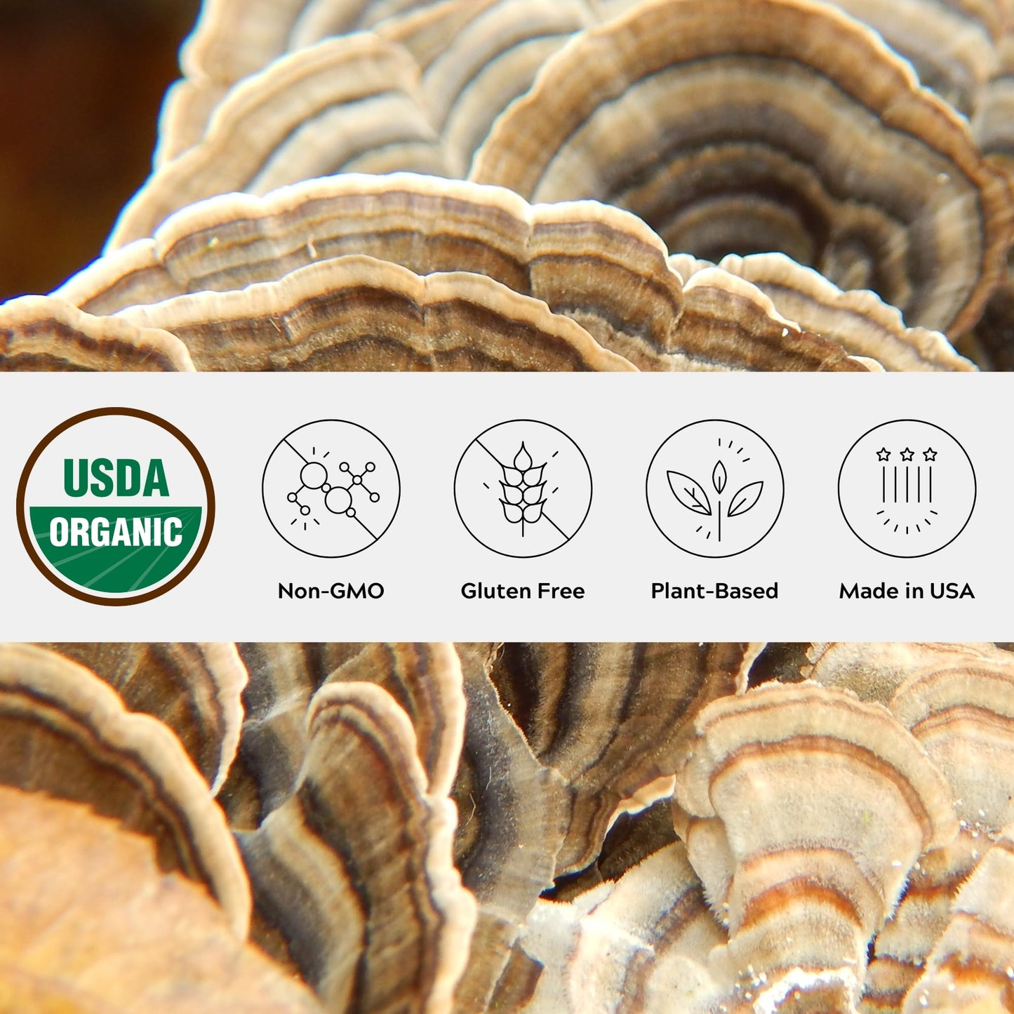 One Farm by WAAYB Organic Turkey Tail Mushroom Powder 80 oz
