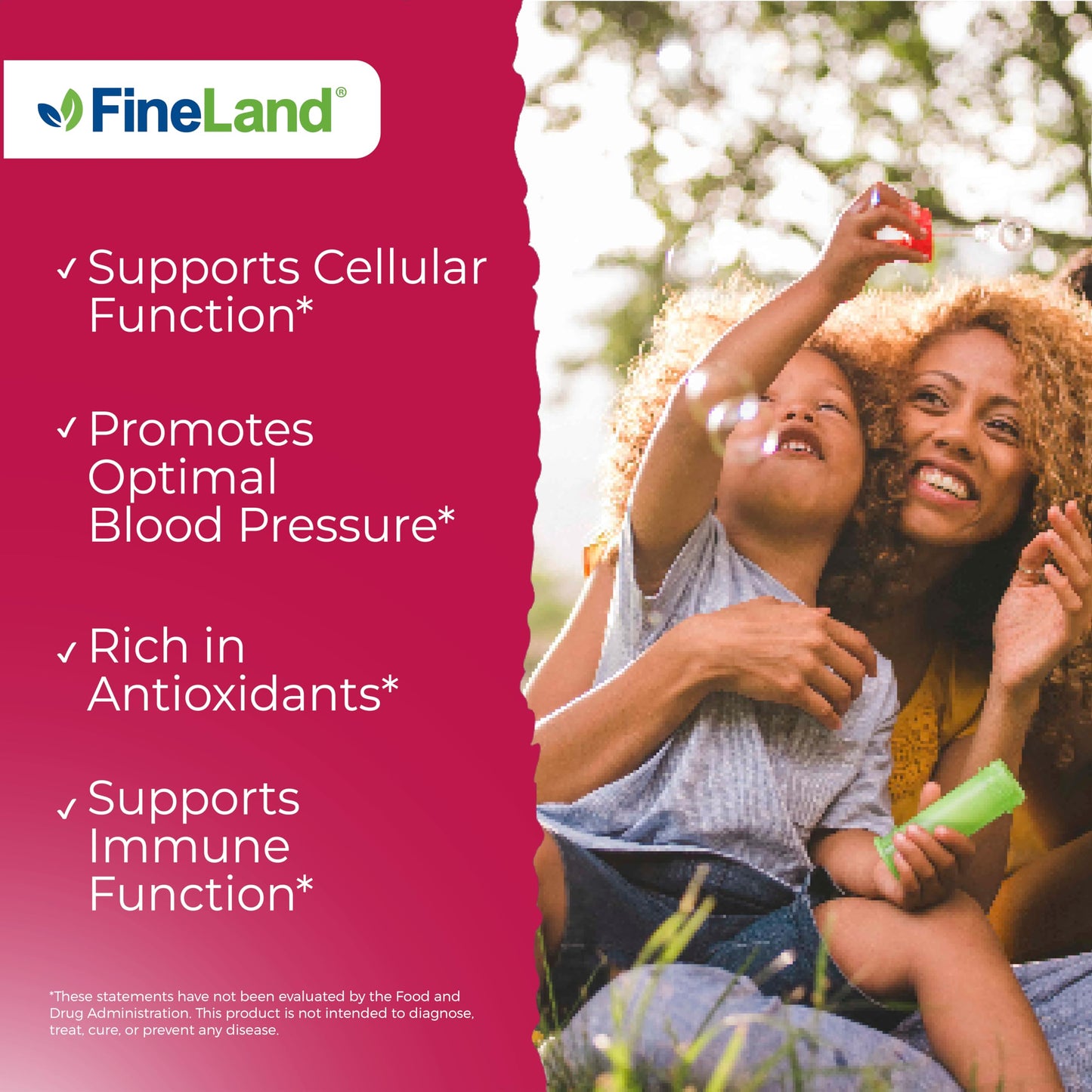 FineLand Pomegranate Extract 20:1, 40% Ellagic Acid Standardized Antioxidant Supplement Capsules, 120 Count