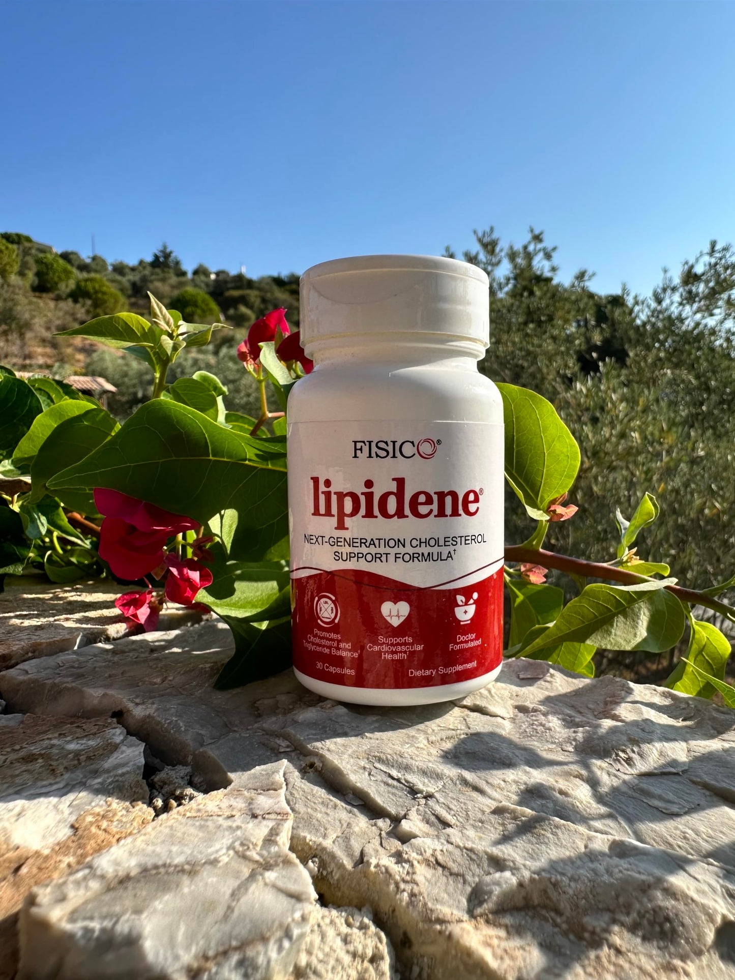 LIPIDENE Cholesterol Support & Heart Health Supplement – Lipid Balance, Cardiovascular Function, Heart Health, Circulation and Arterial Wellness, 30 Capsules