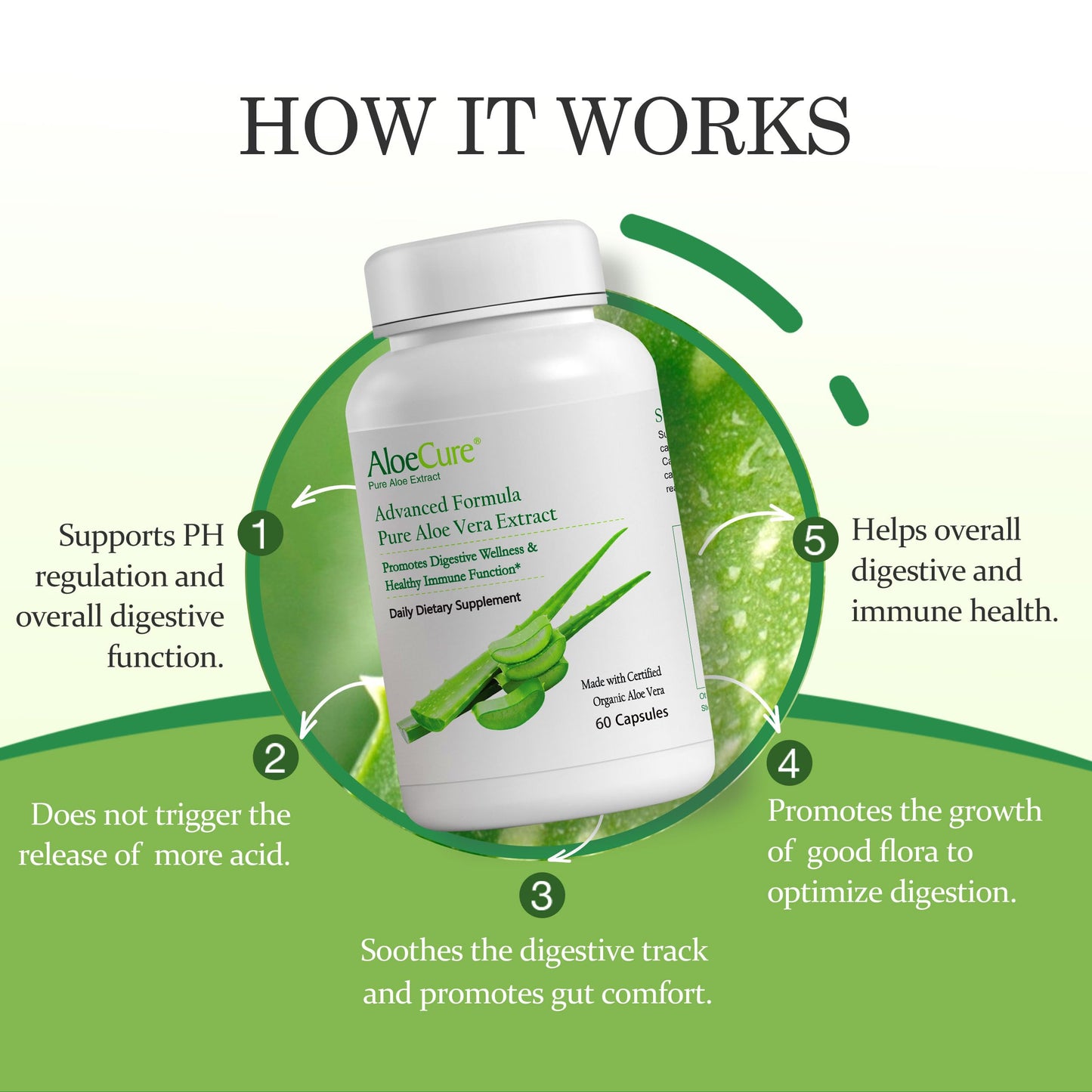 AloeCure Aloe Vera Capsules Made with Organic Aloe Vera for Gut Health & Digestive Comfort, Aloin Free, 6 Bottles