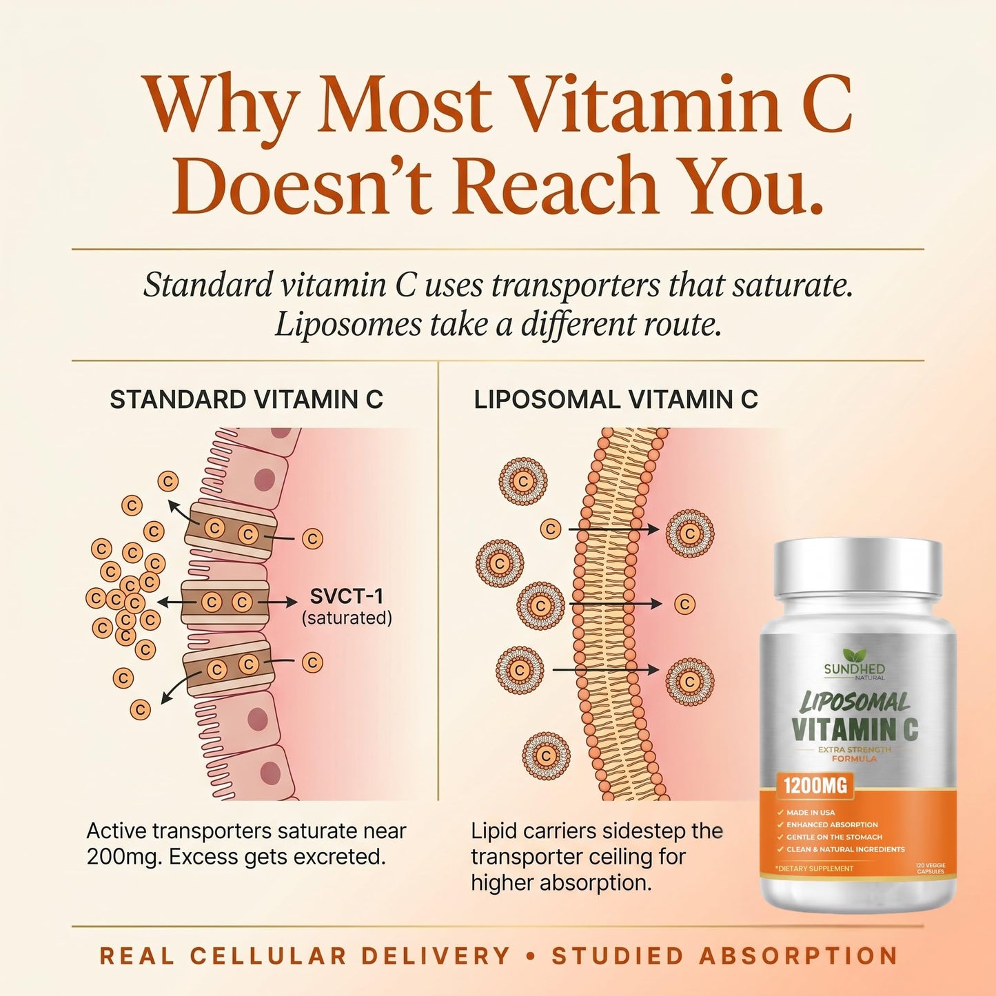 Sundhed Natural Pure Liposomal Vitamin C Capsules, 120 Capsules