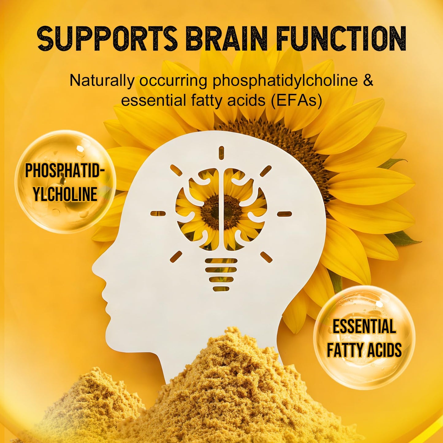 ATLEMISME Sunflower Lecithin Powder 4 oz