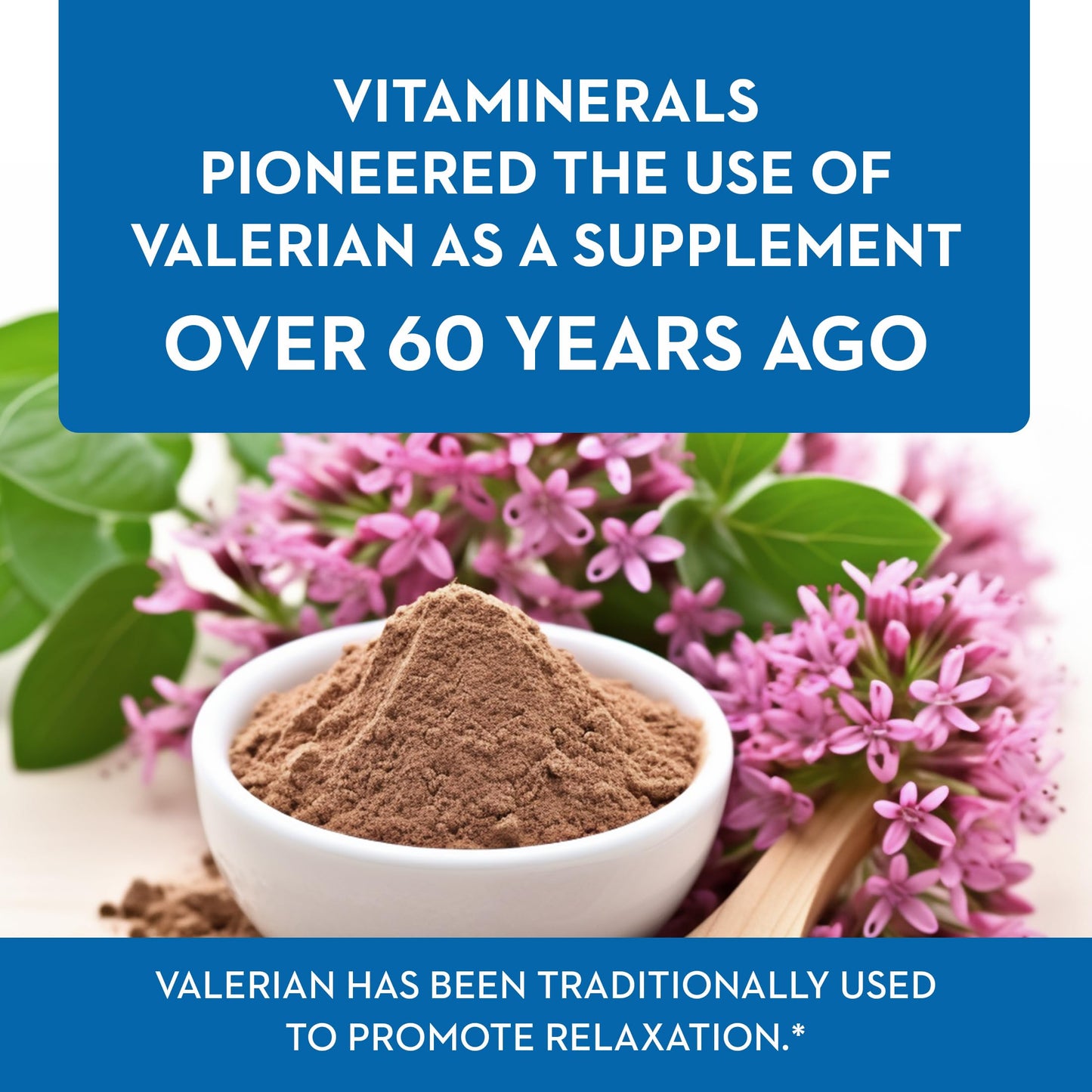 Vitaminerals Baldrian Plus Natural Relaxing Support Standardized Valerian Extract Capsules 60 Count