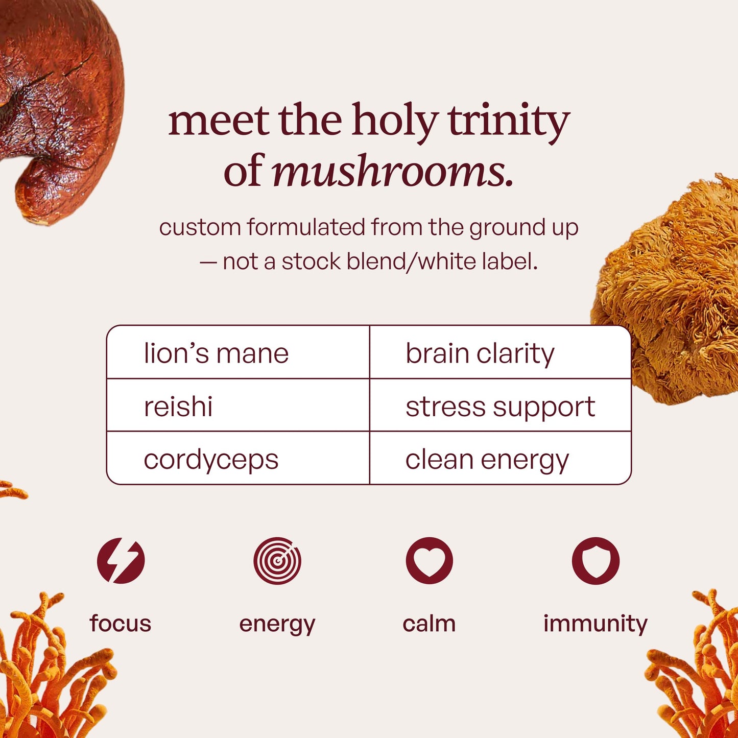 Forest Caps Mushroom Gummies – Lion’s Mane, Reishi & Cordyceps – Focus, Calm & Natural Energy – Organic Fruiting Body Extracts – Vegan, All Natural, Made in USA, 60 Count