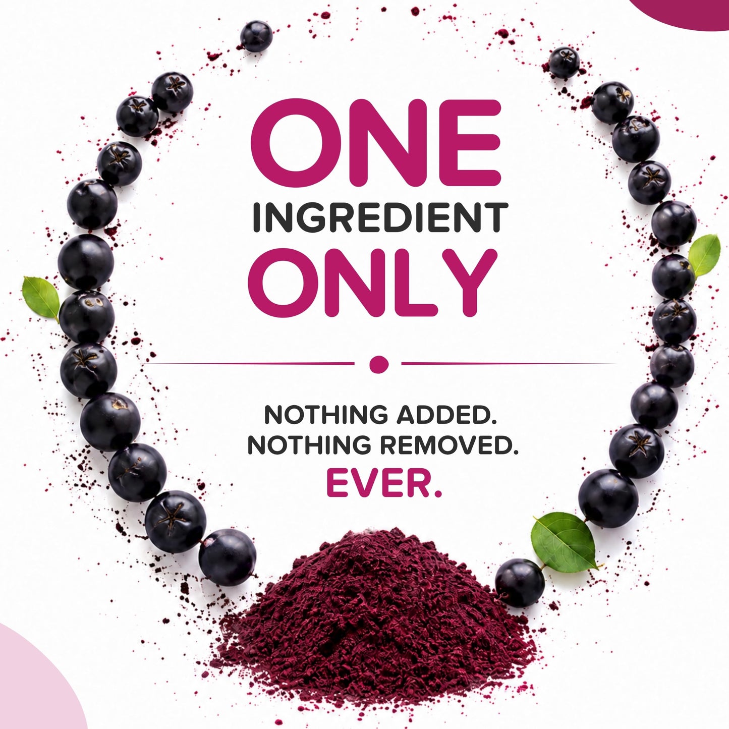b Aronia Berry Powder, 16 Ounce