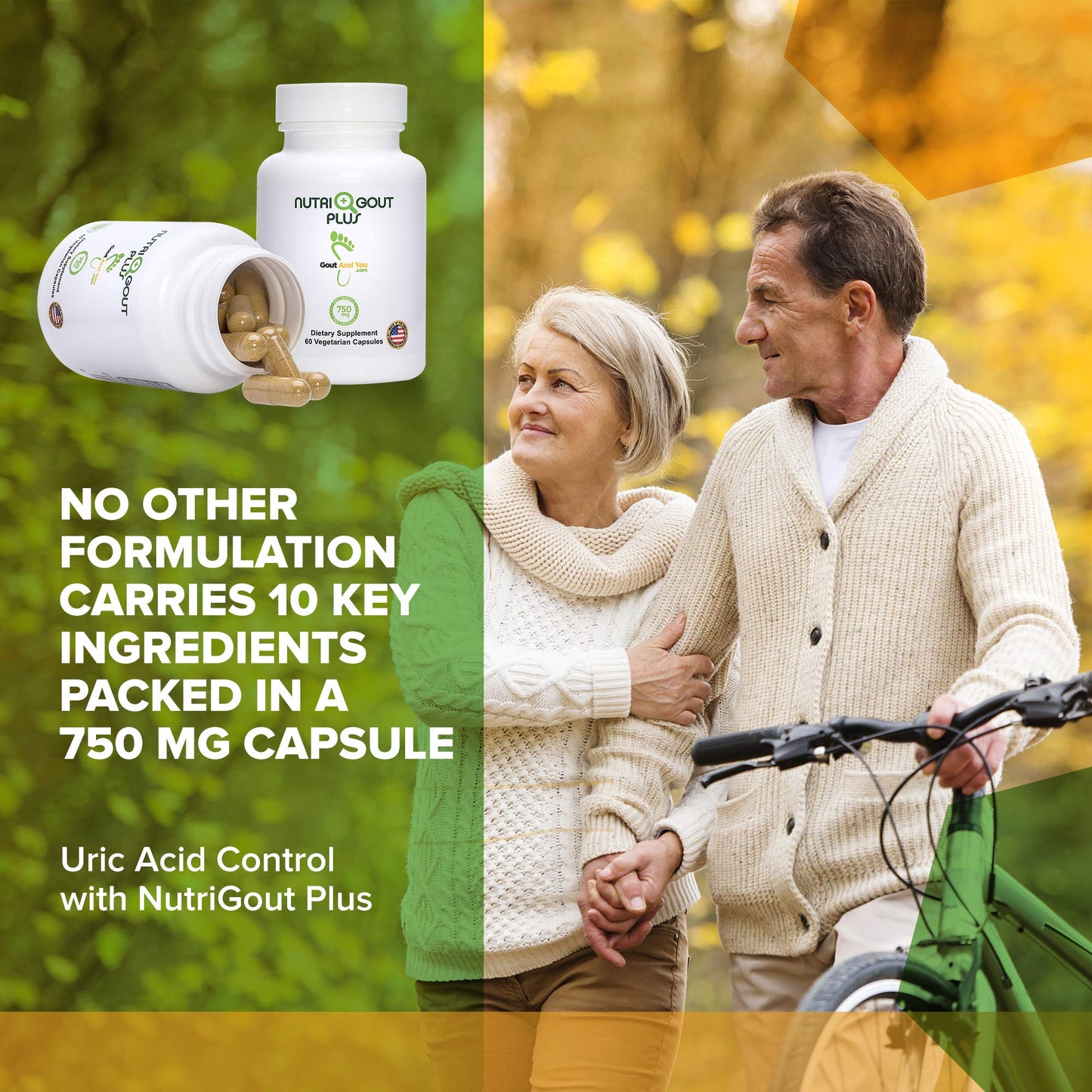 Gout and You NutriGout Plus Uric Acid Support Premium Formula Capsule 60 Count