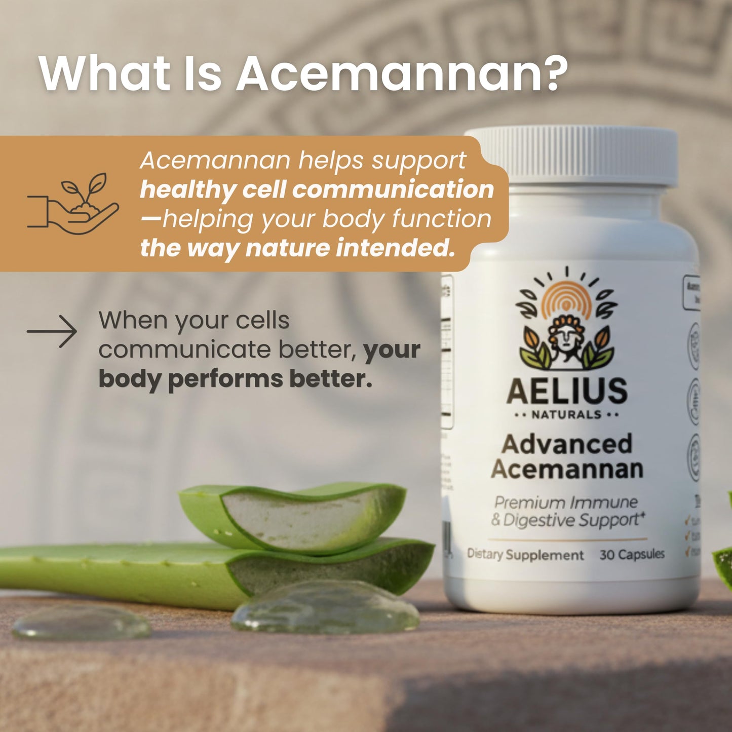 Aelius Naturals Advanced Acemannan Aloe Vera Supplement Capsule, 30 Capsules