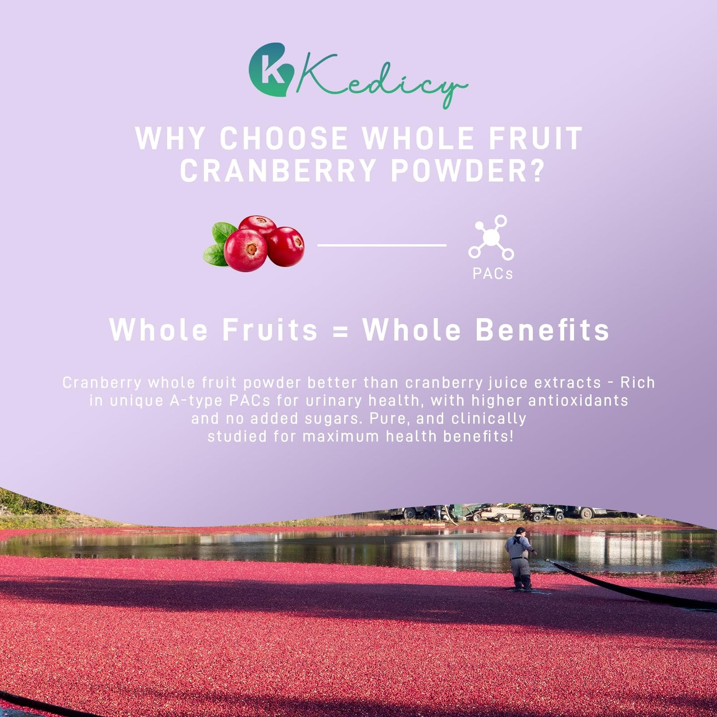 Kedicy Cranberry Pills for Women with 36 mg Soluble PACs, 60 Capsules