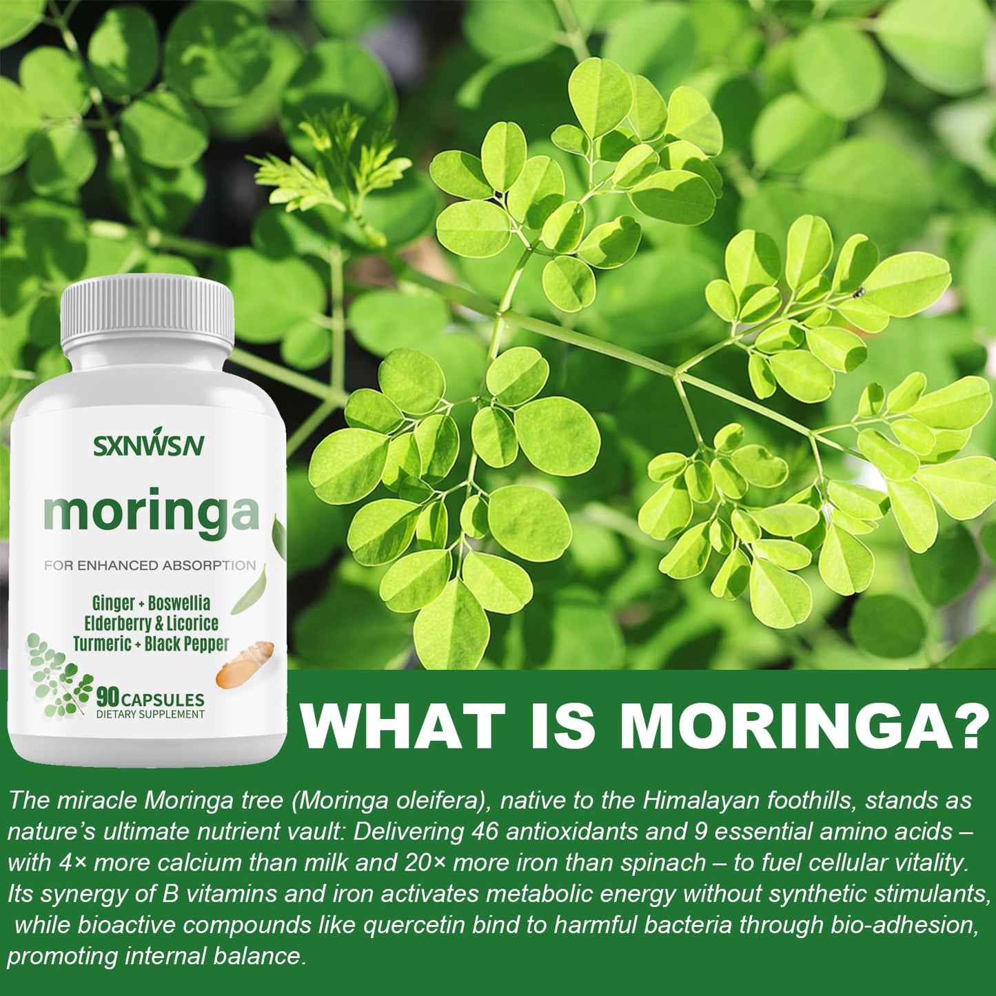 SXNWSN Moringa Capsules 1000mg with Turmeric, Ginger, Elderberry, Licorice & Boswellia, 90 Capsules