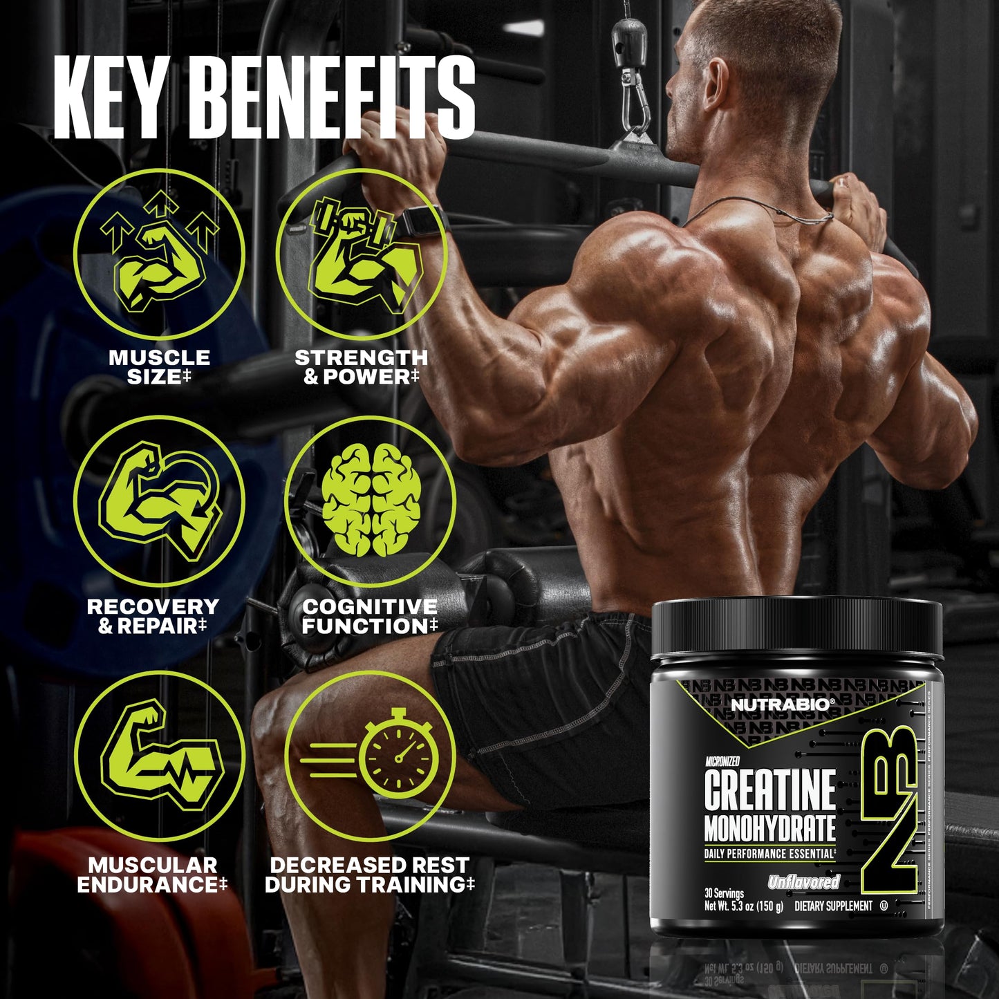 NutraBio Pure Micronized Creatine Monohydrate Powder Supplement, 5.3
