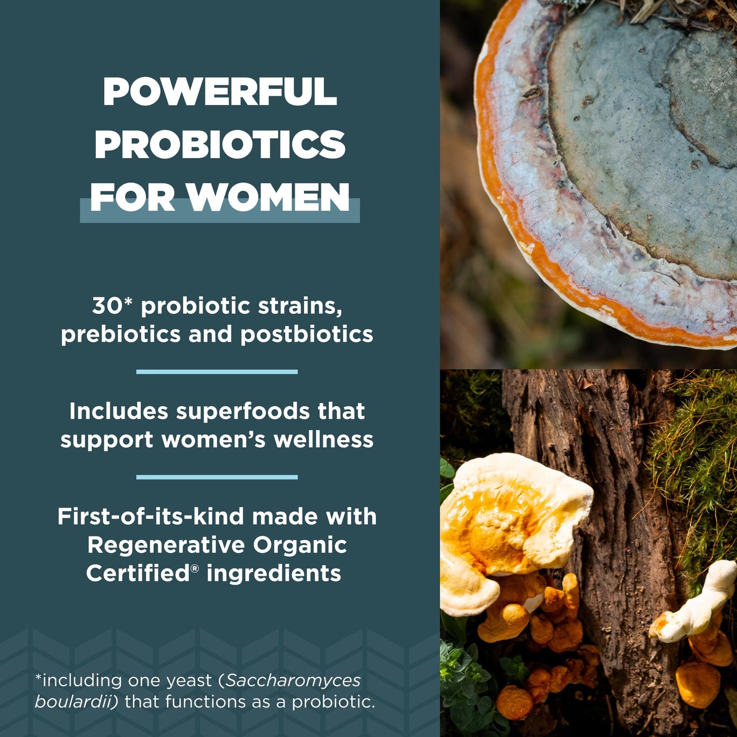 Ancient Nutrition Regenerative Organic Certified Probiotics for Women’s Once Daily, 25 Billion CFUs Per Serving, Capsule, 30 Count