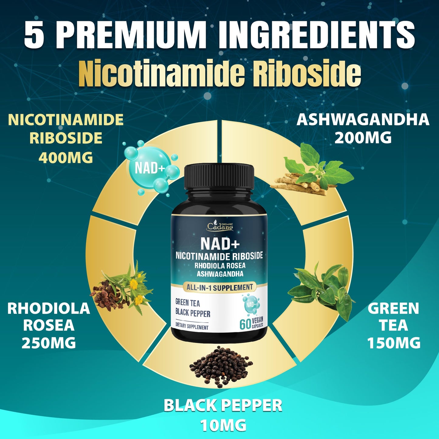 Organic Cadane Nicotinamide Riboside Supplement Capsule, 60 Capsules