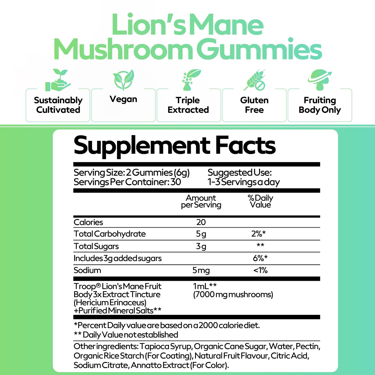 Troop Lion's Mane Mushroom Gummies, 60 Count
