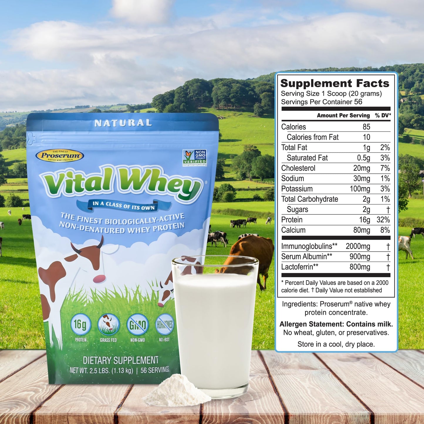 Well Wisdom Proteins Natural Unflavored Grass-Fed Whey Protein Powder, 40 Servings