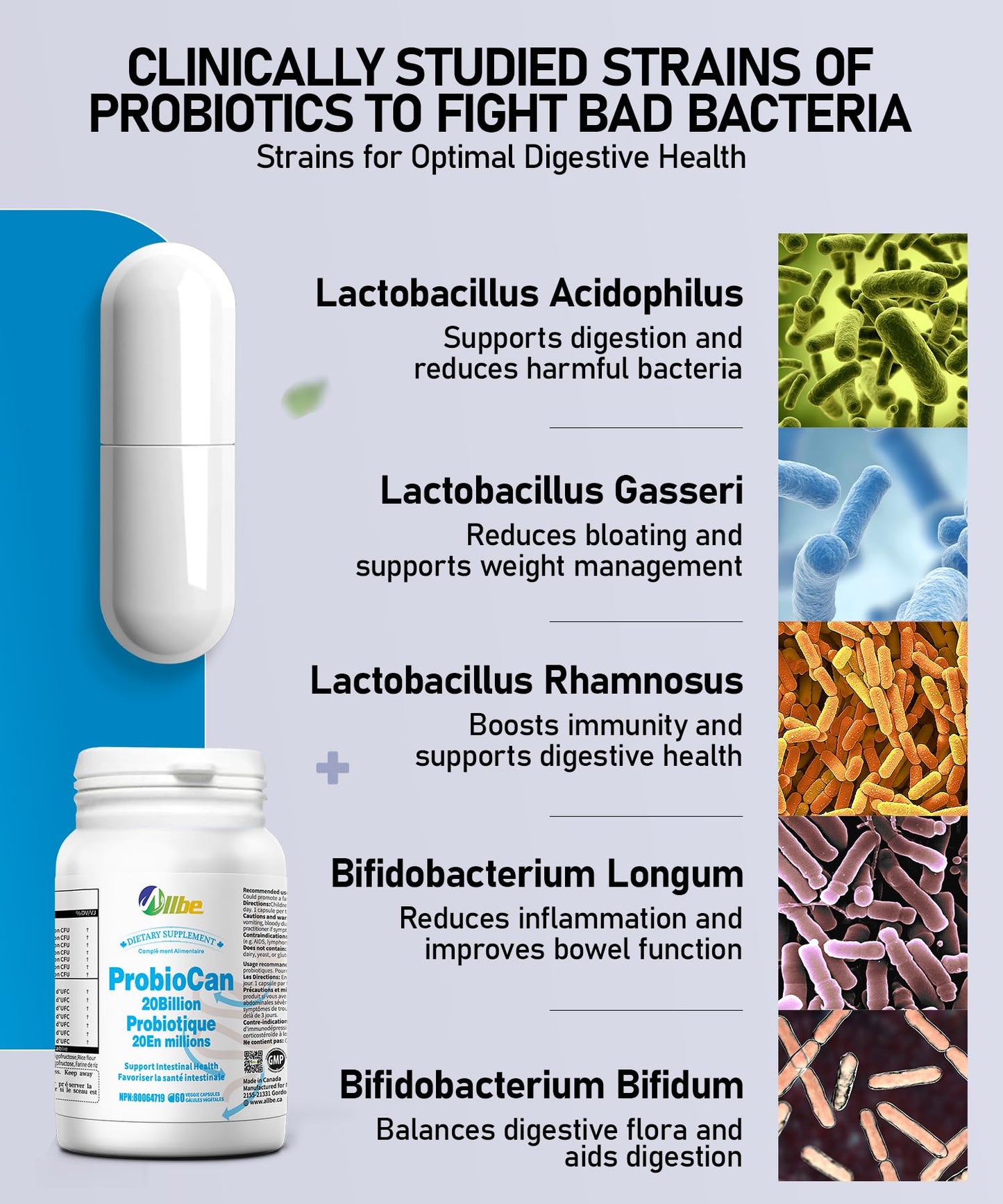 Allbe Probiocan 20 Billion CFU Probiotics for Digestive Health, 7 Strains for Women, Capsule, 240 Count