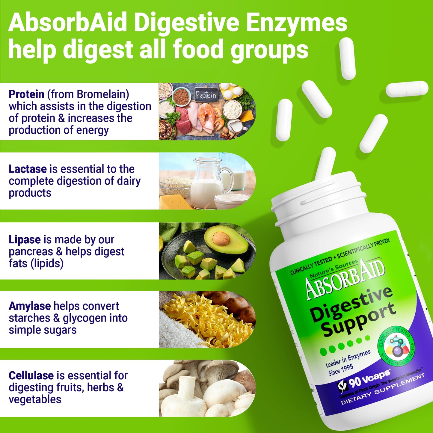 AbsorbAid Digestive Support 90 Capsules
