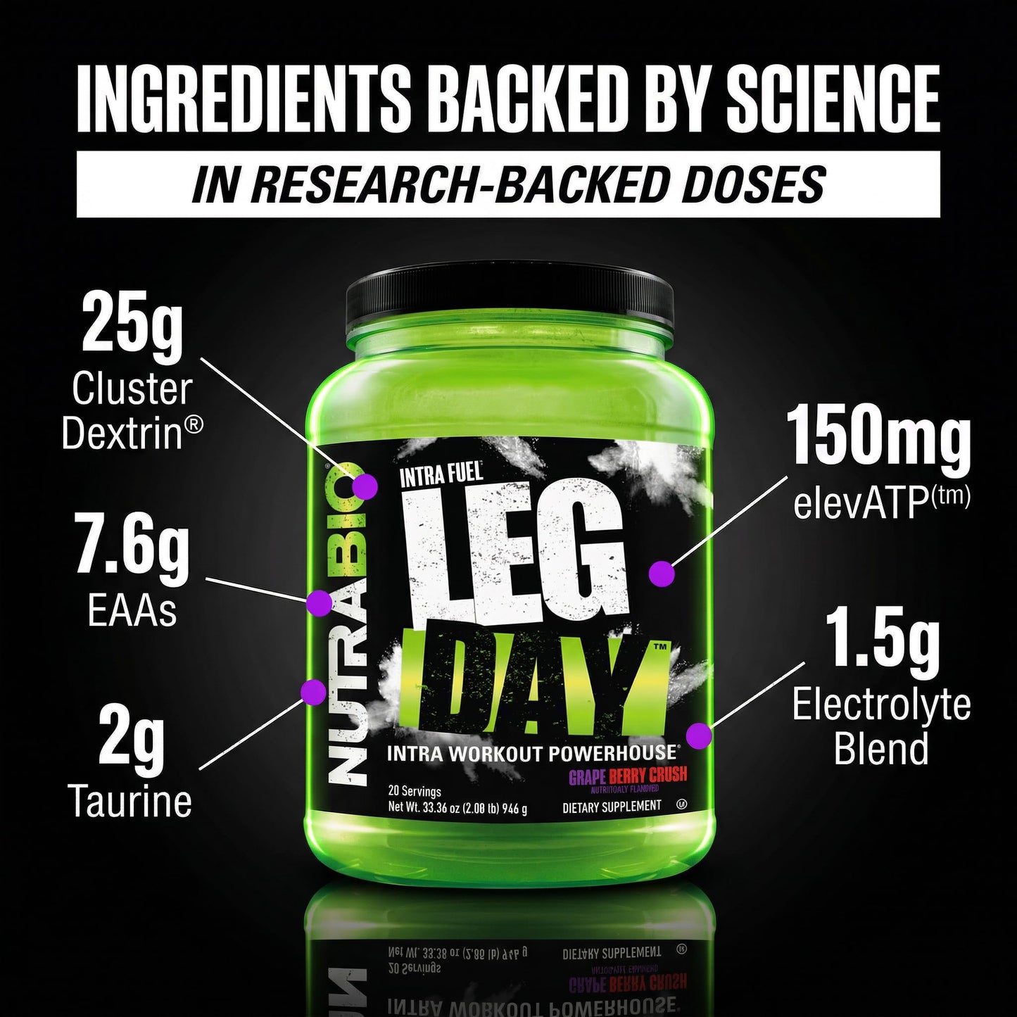 NutraBio Leg Day Intra Workout Powder – Grape Berry, 20 Servings