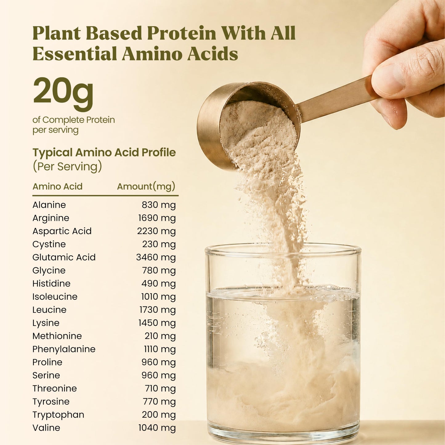 Elements Chai Spice Plant Protein Powder, 25.5 Servings