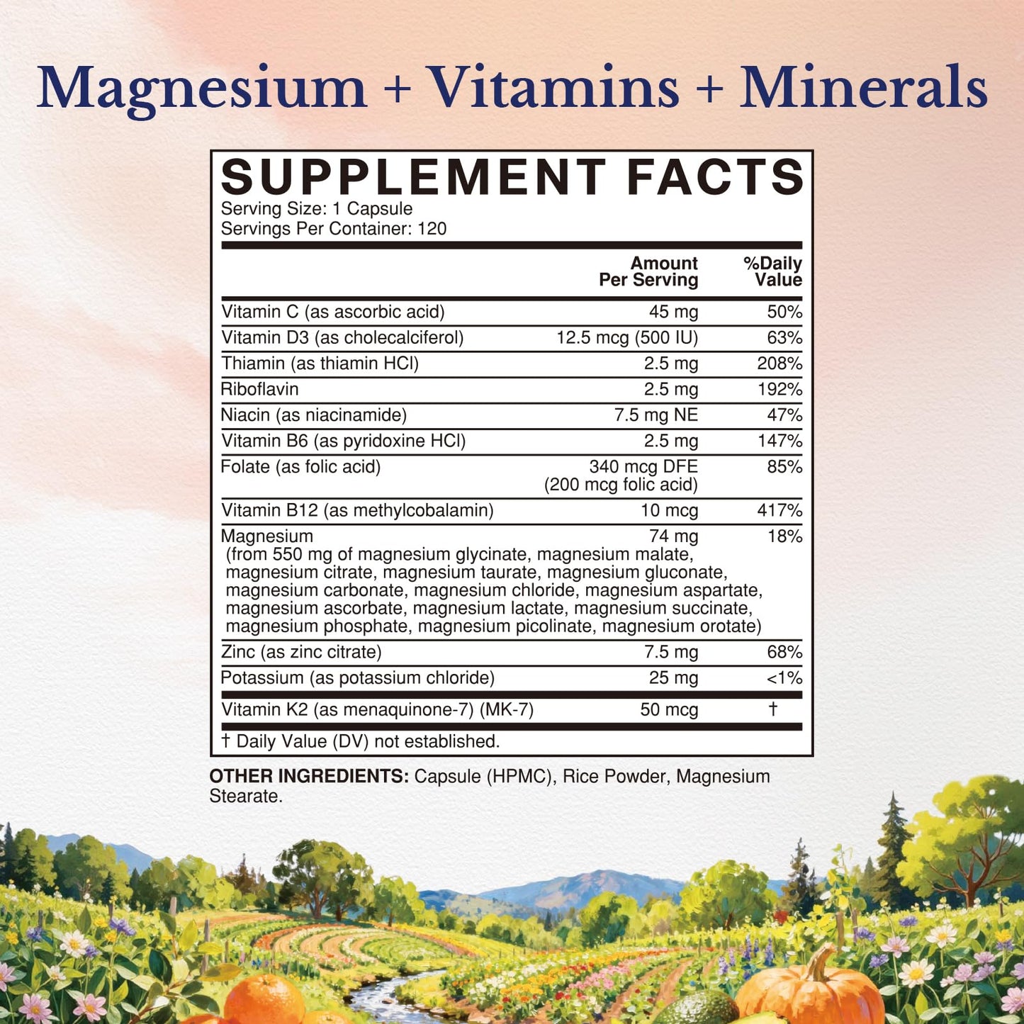 Vitalitown 25-in-1 Magnesium Complex Capsules, 120 Capsules