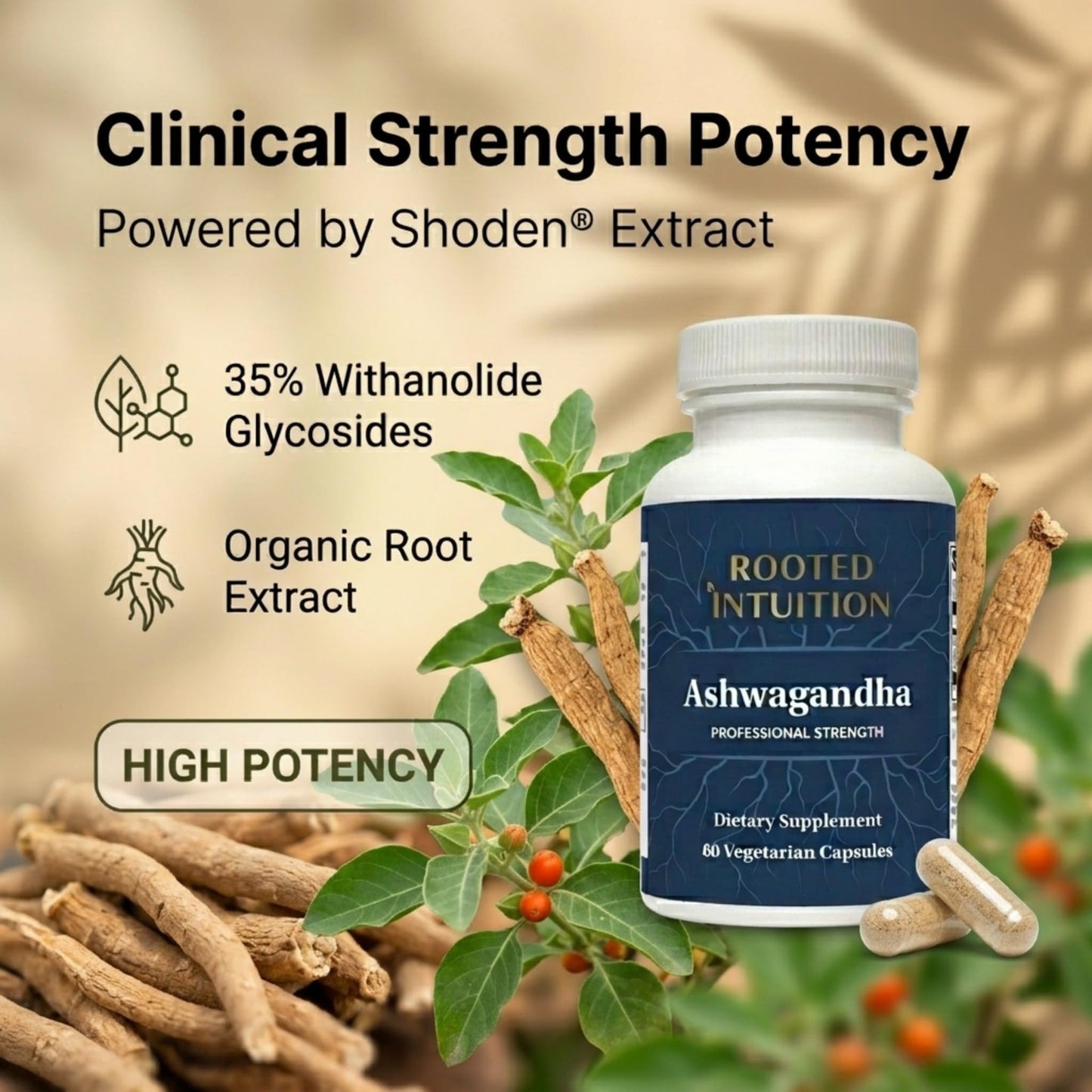 Rooted Intuition Ashwagandha Supplement 240mg Capsules, 60 Count