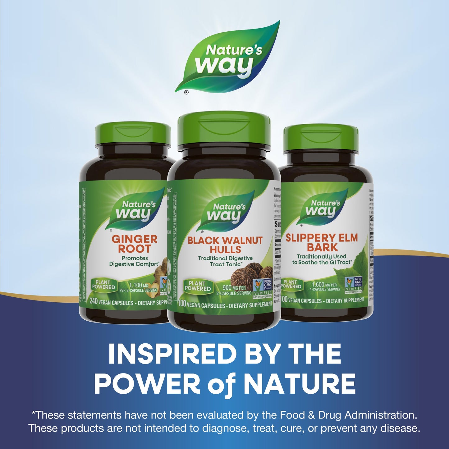 Nature's Way Black Walnut Hulls Capsules 200 Capsules