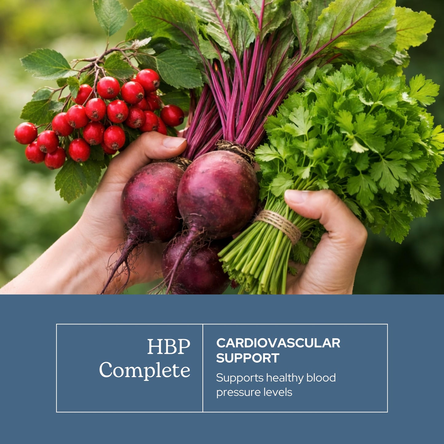 ECLECTIC INSTITUTE HBP Complete Capsules, 90 Count