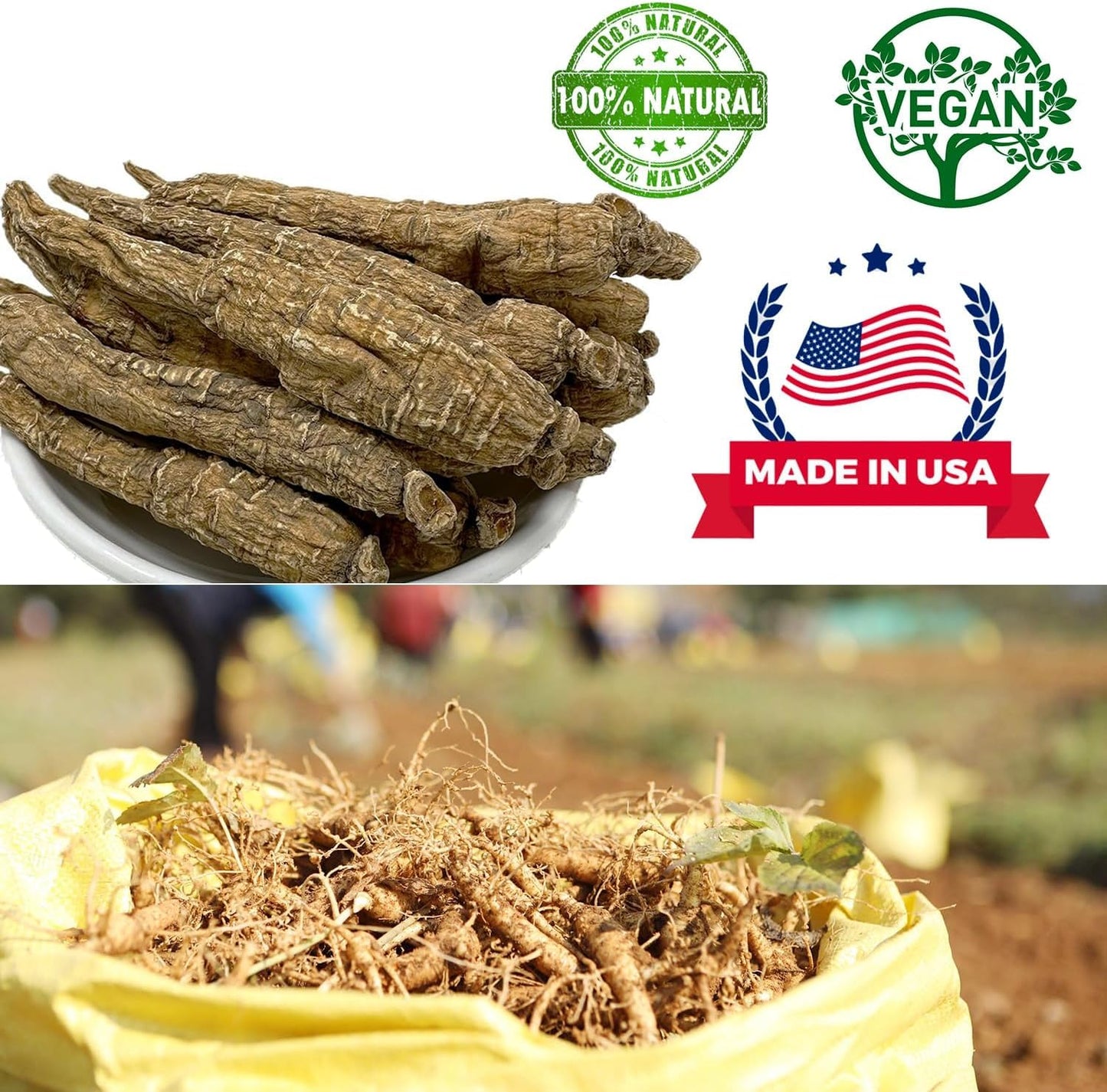 DABC OAK LAND Wisconsin American Ginseng Tablets 8 Count