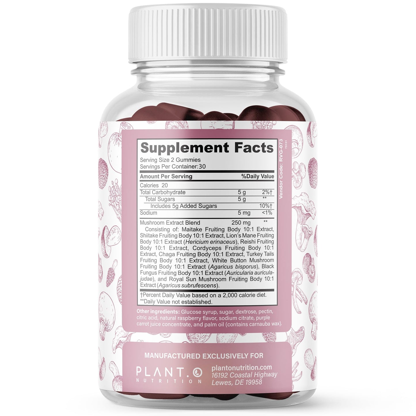 PLANT.O NUTRITION Mushroom Gummies Premium Supplement with Lion’s Mane, Reishi & Shiitake Nootropic Brain Support, Immune Support, Mood & Relaxation, 60 Gummies
