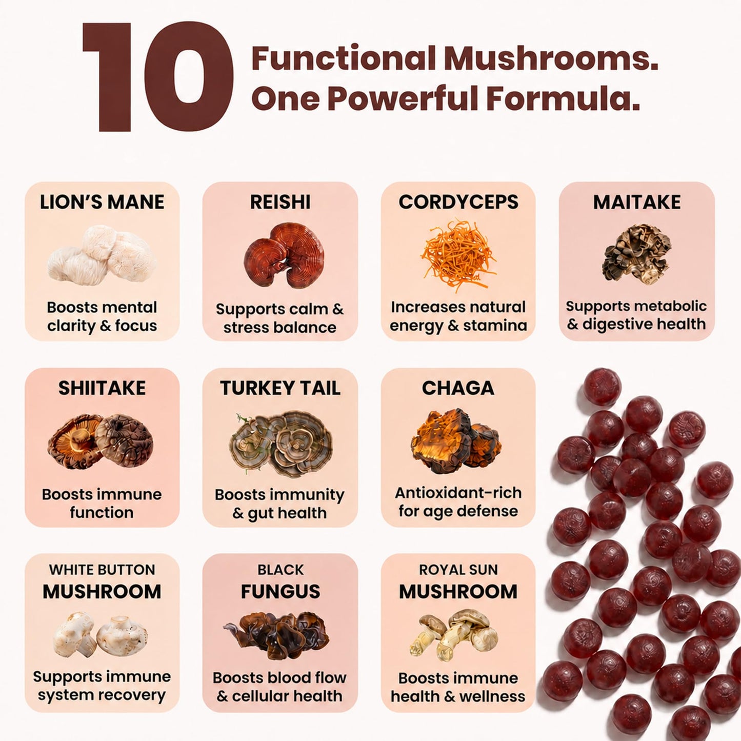 Clear Probiotics Mushroom Gummies for Focus & Energy, 60 Gummies