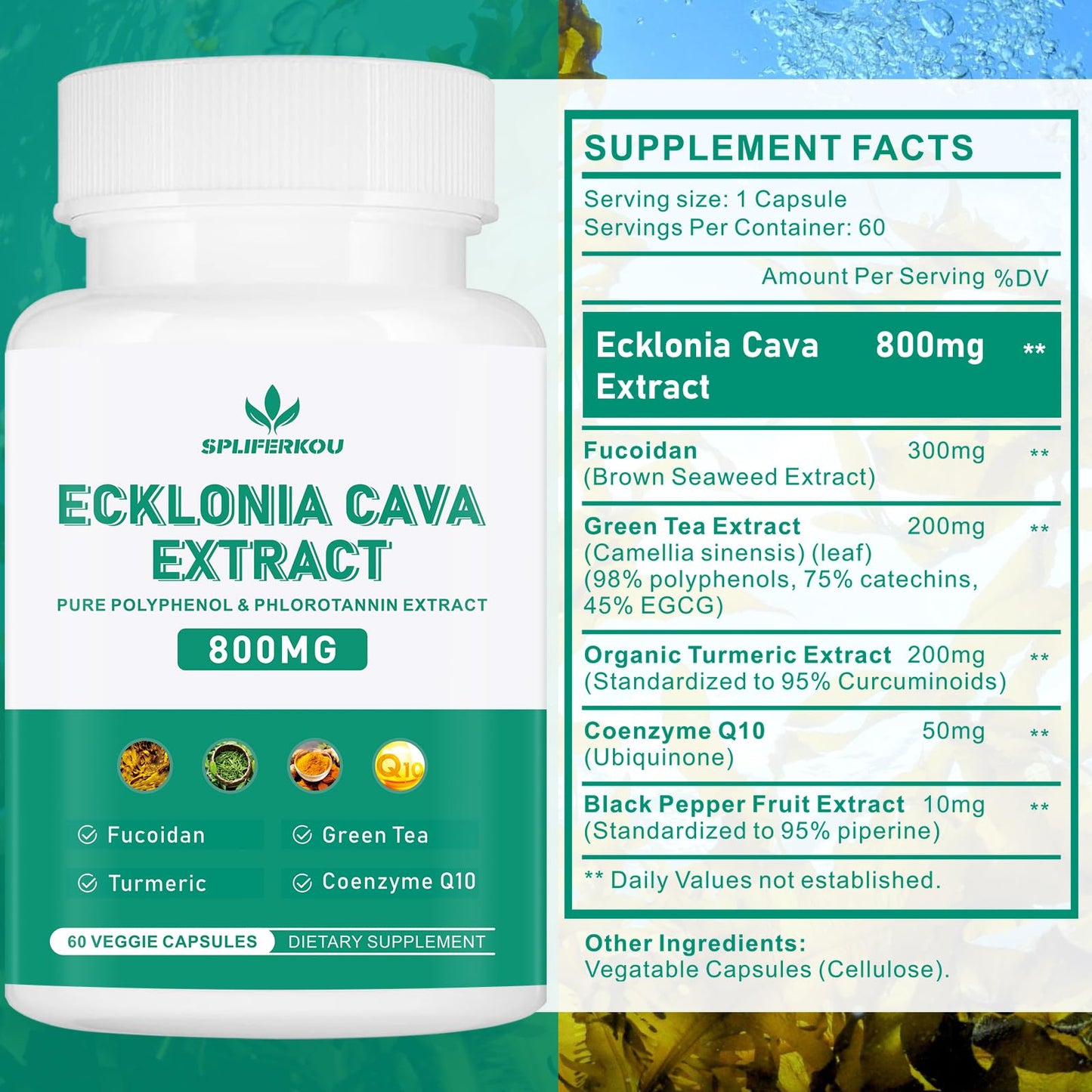 Spliferkou Ecklonia Cava Extract 800mg Veggie Capsules, 60 Count
