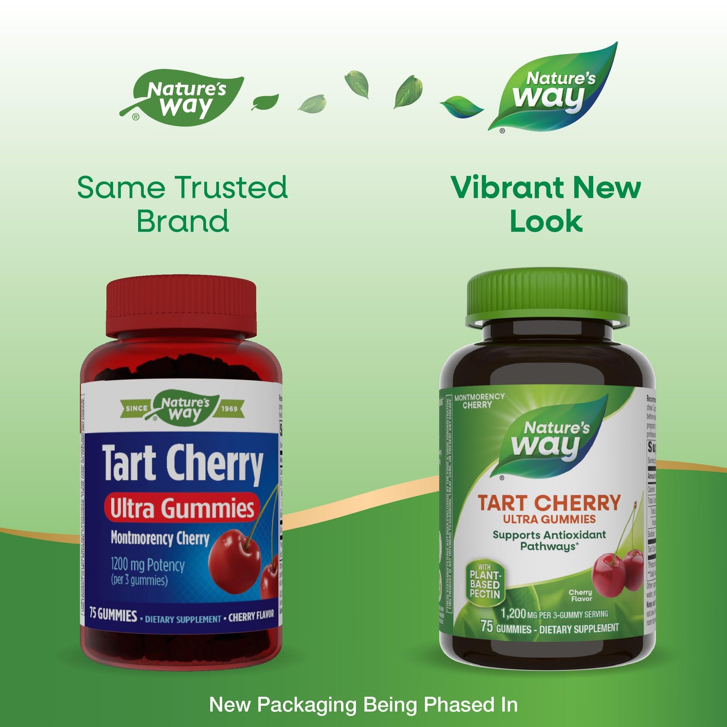 Nature's Way Tart Cherry Ultra Gummies 75 Count
