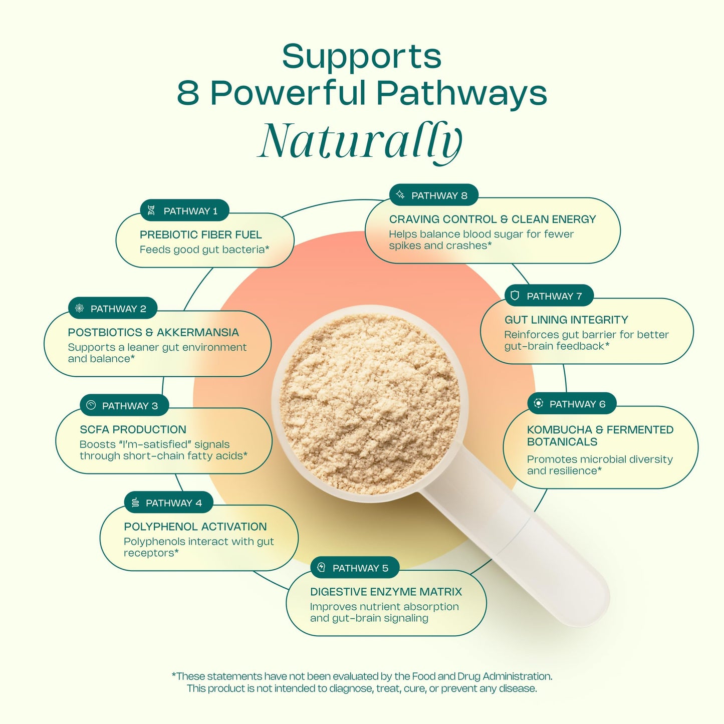 LevelUp GLP Superfood with Akkermansia Probiotic, Prebiotics, Postbiotics, Digestive Enzymes & Polyphenols Powder 10.5 oz