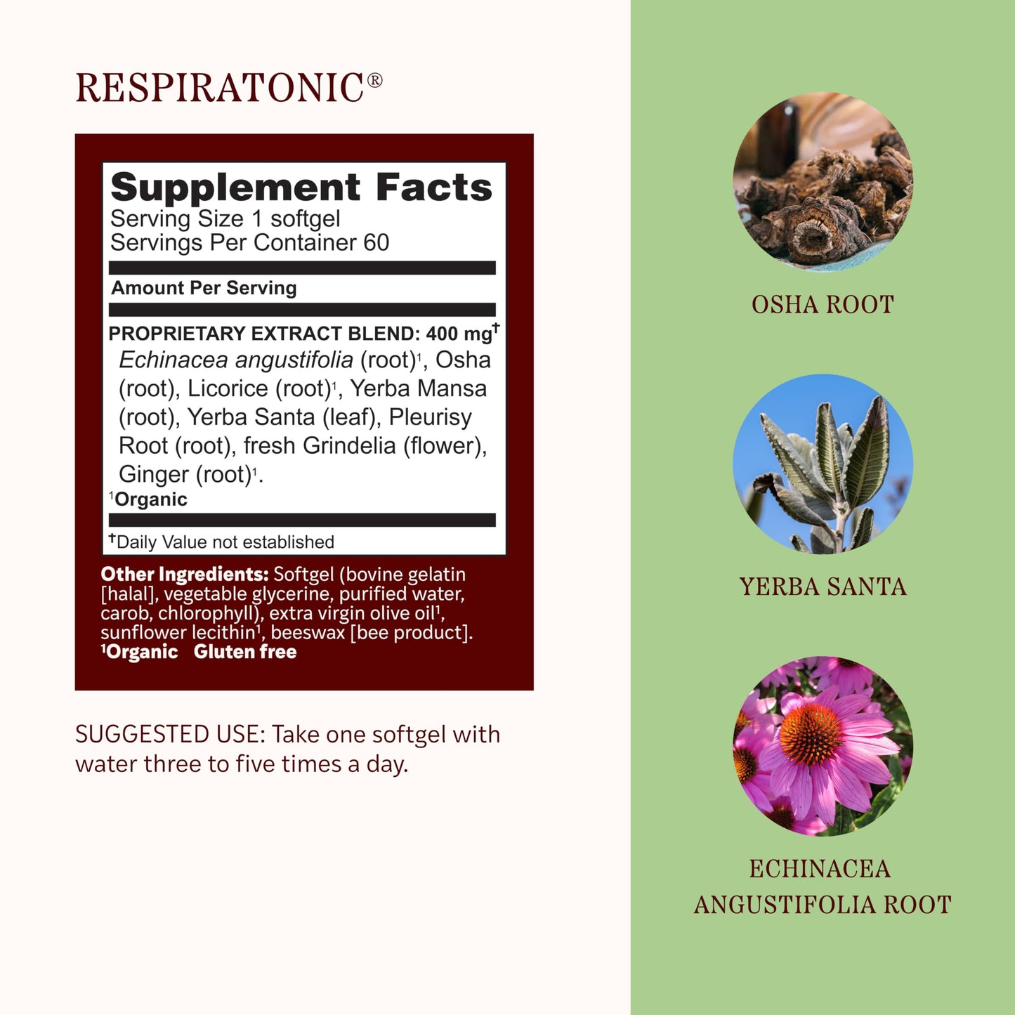 Herbs Etc. Respiratonic Softgels 60 Count