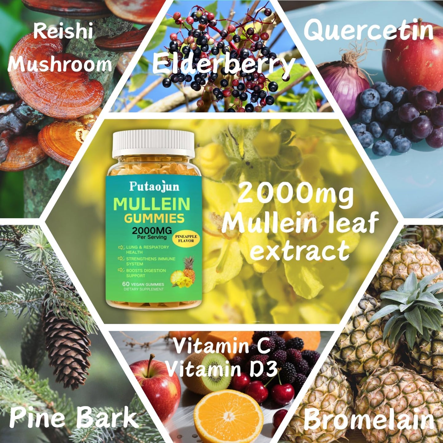 Putaojun Mullein Gummies, Sugar Free with Organic Mullein Leaf Extract, Bromelain, and Quercetin, 120 Count
