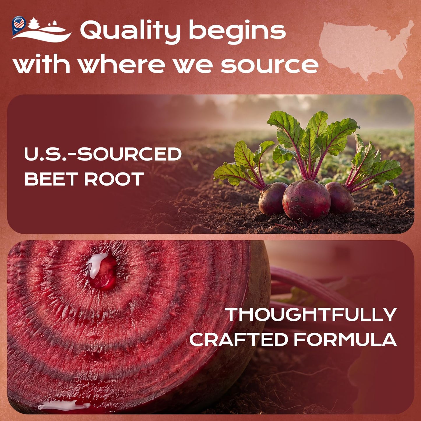 HOLINFRE Beet Root Gummies with Grape Seed & CoQ10, 60 Gummies