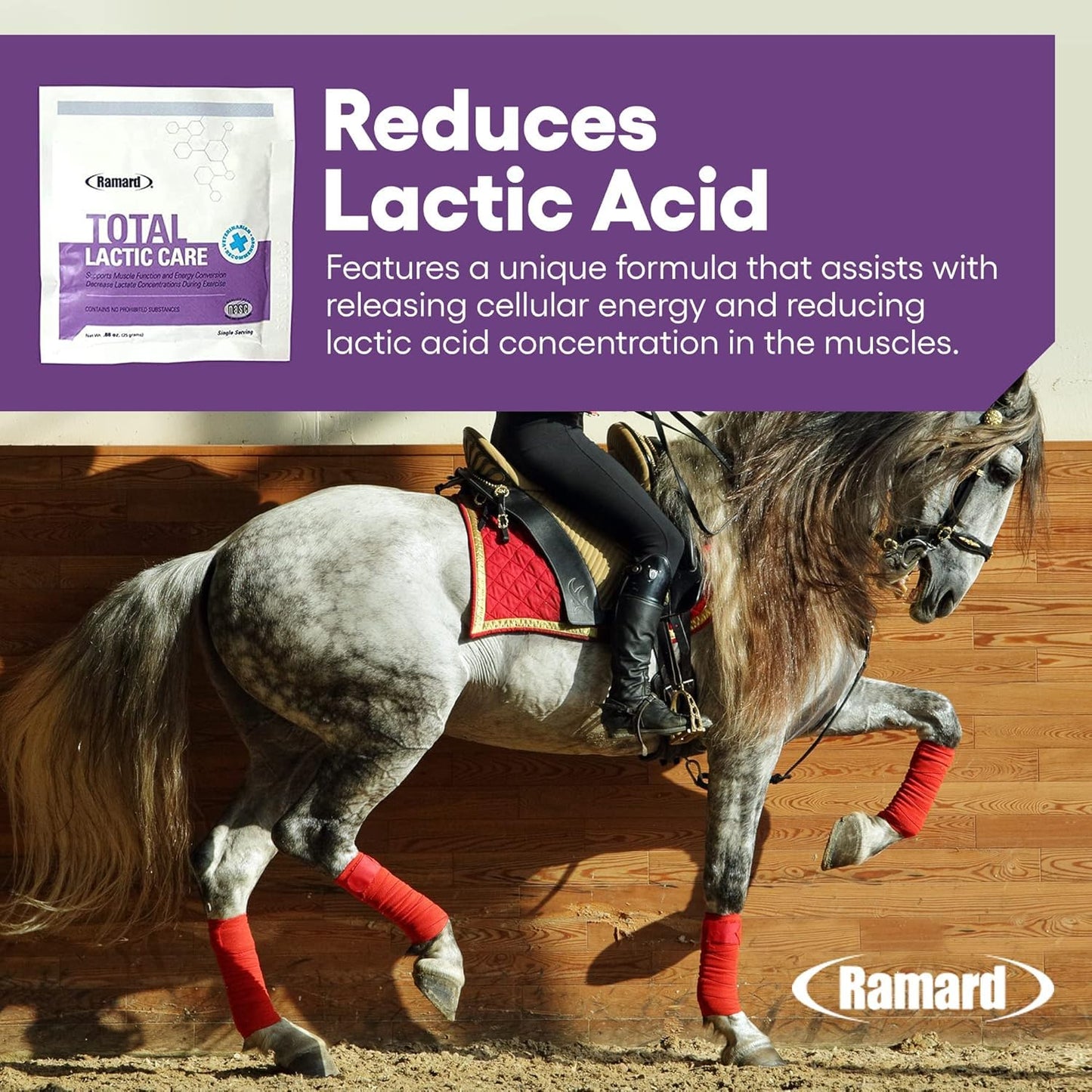 Ramard Total Lactic Care Muscle Function Support Supplement Powder 0.88 Ounce