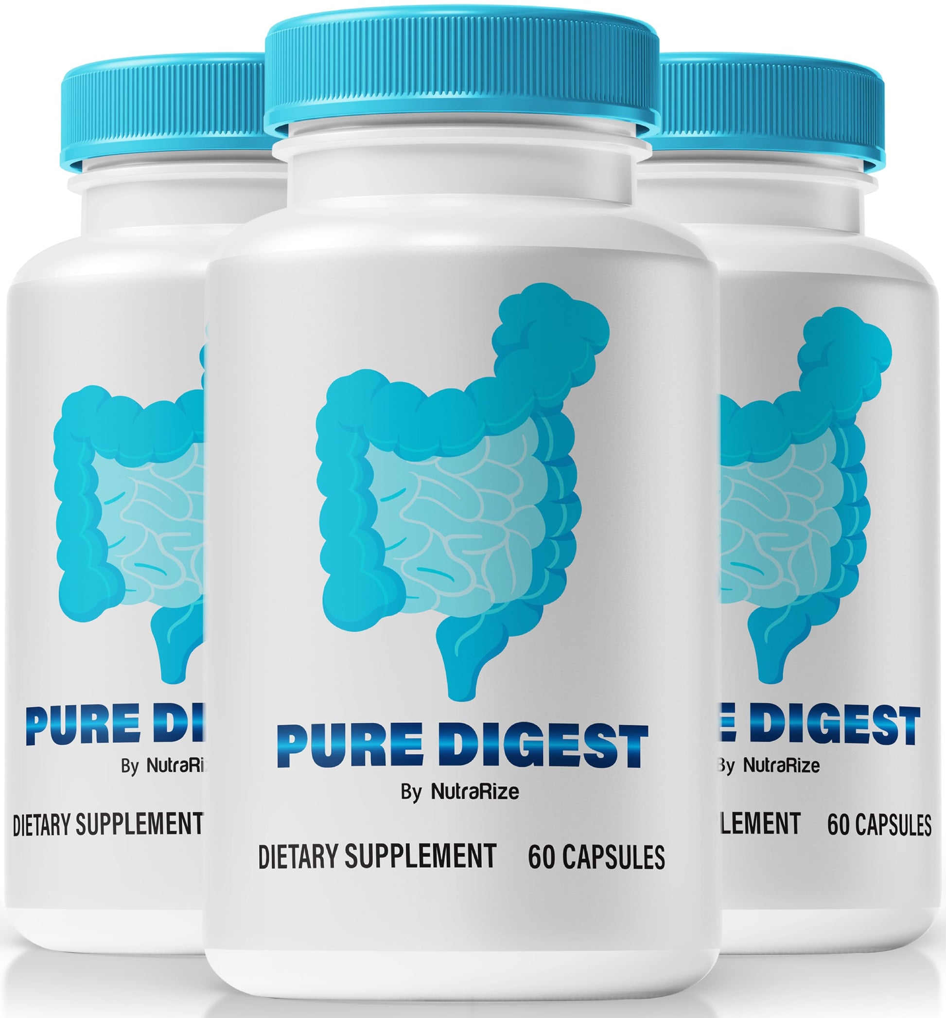 NutraRize Pure Digest Capsules, 180 Capsules