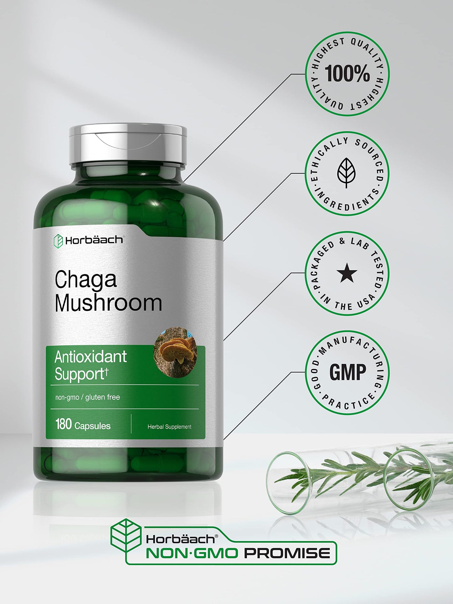 Horbäach Chaga Mushroom Capsules 180 Count