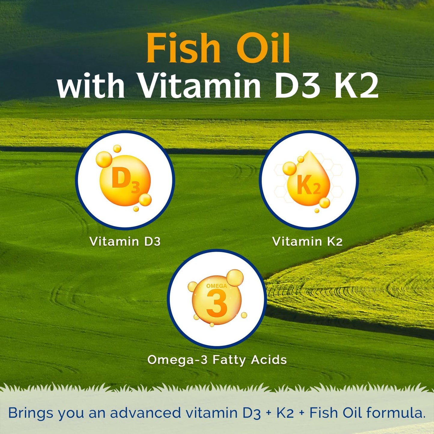 Innate Vitality Omega 3 Fish Oil Supplement Softgel 60 Count