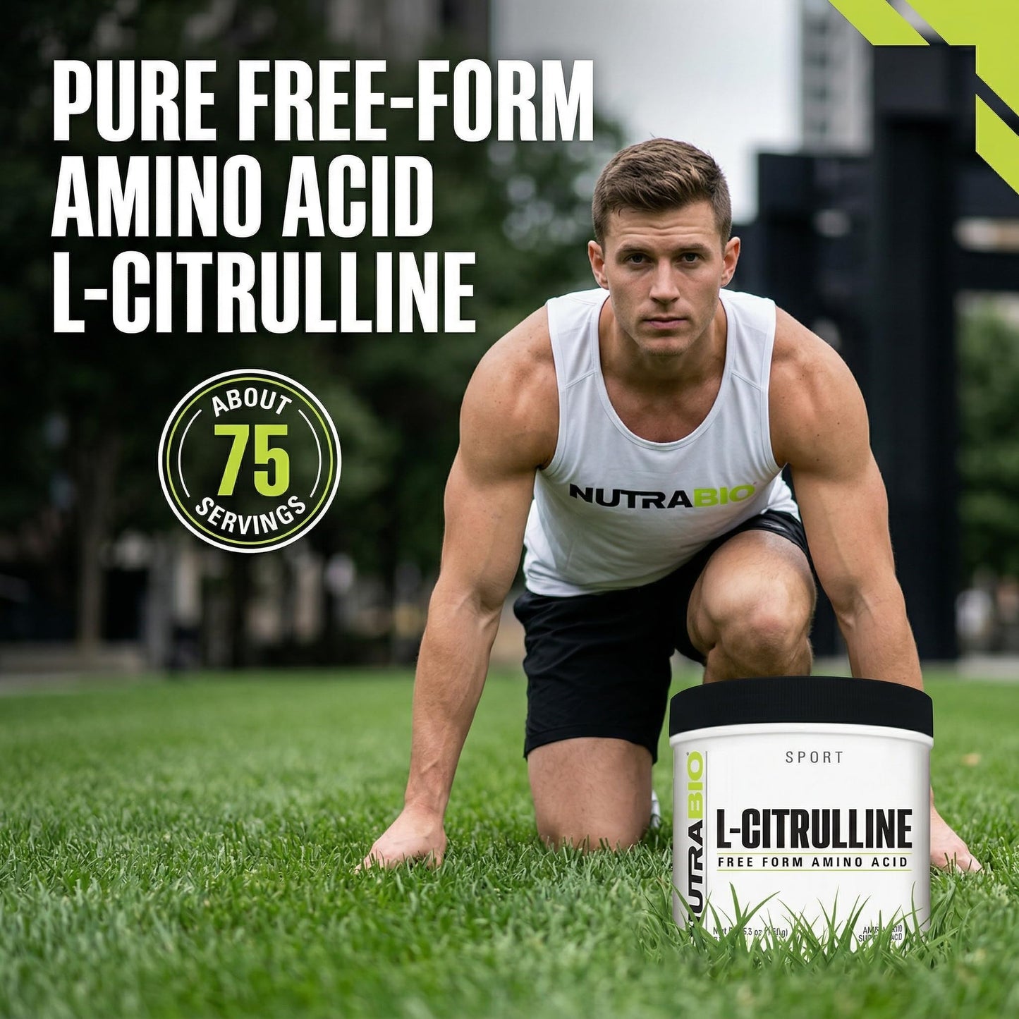 NutraBio L-Citrulline Free-Form Amino Acid Powder, 5.3 oz