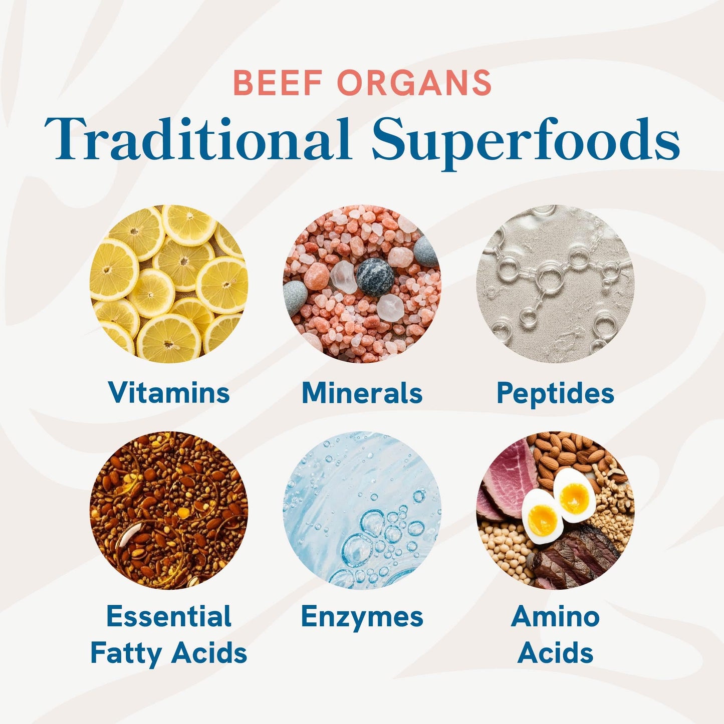 SMNutrition Beef Organ Supplement for Women Capsules 60 Count