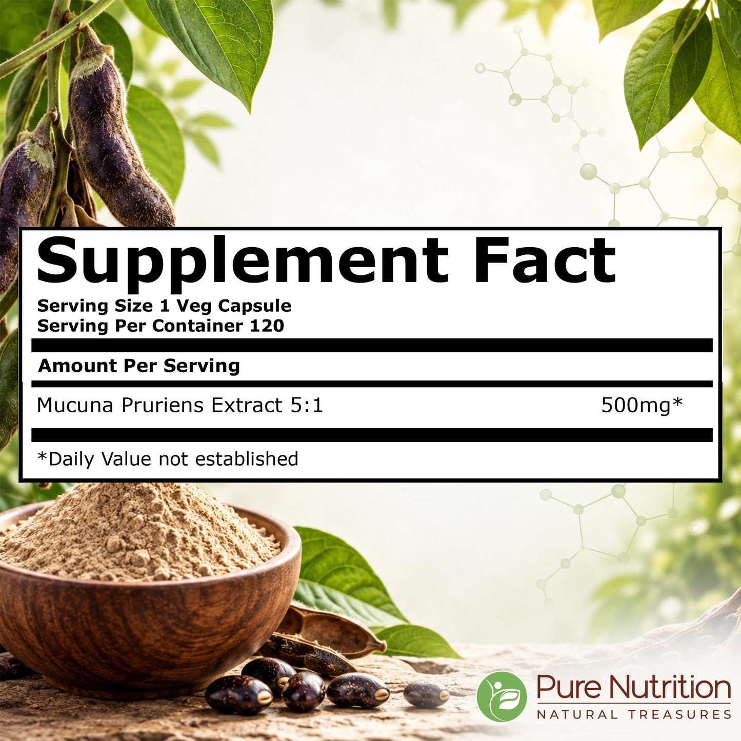 Pure Nutrition Natural Treasures Mucuna Pruriens 500 mg 5:1 Extract Capsule, 120 Count