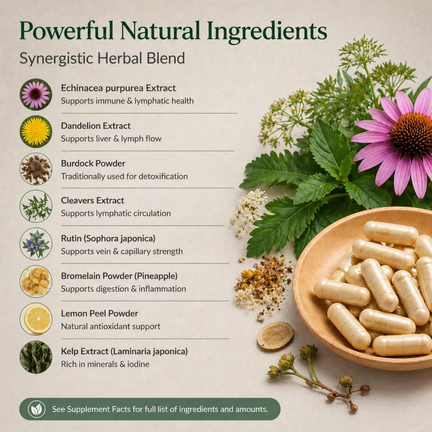 DR. SKIN CARE Lymphatic Drainage Support Supplement for Women and Men – Daily Wellness Softgels with Echinacea, Dandelion, Burdock Root, Cleavers – 60 Count