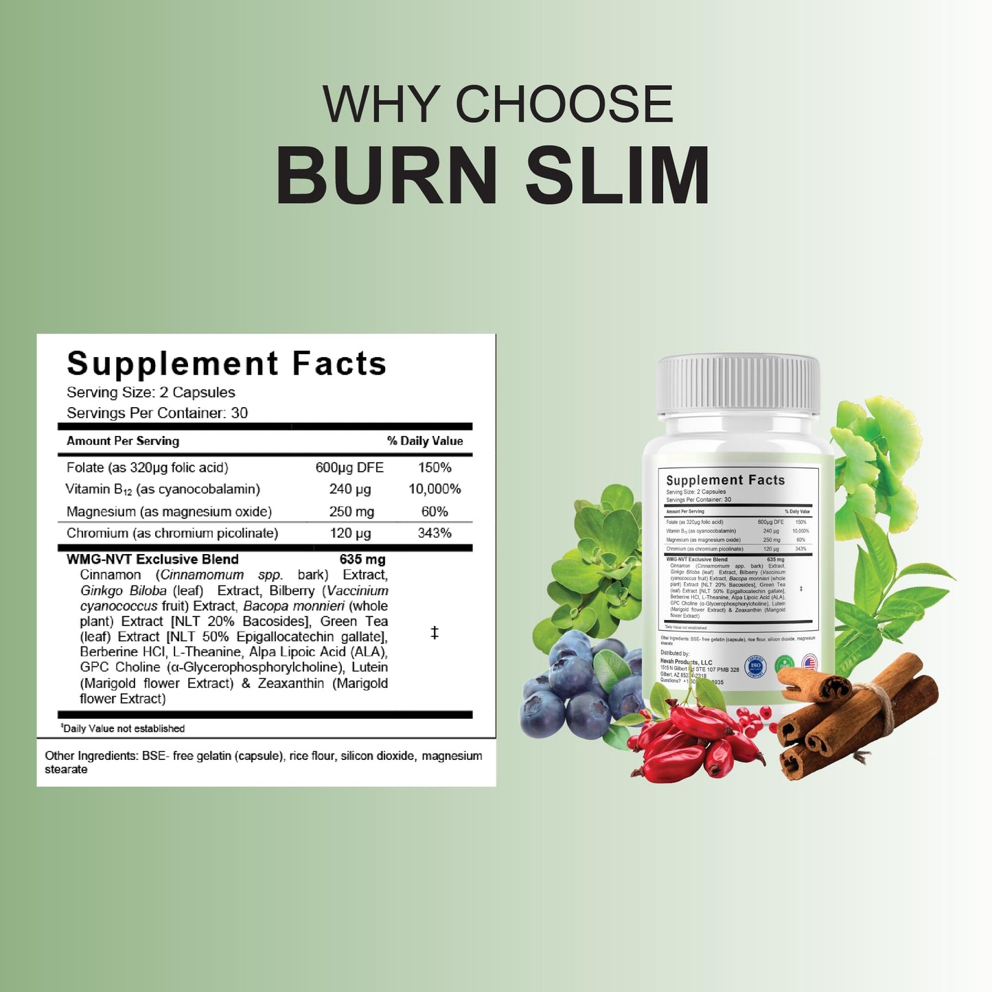 BLUE VIBE Burn Slim Pro Capsules, 120 Count