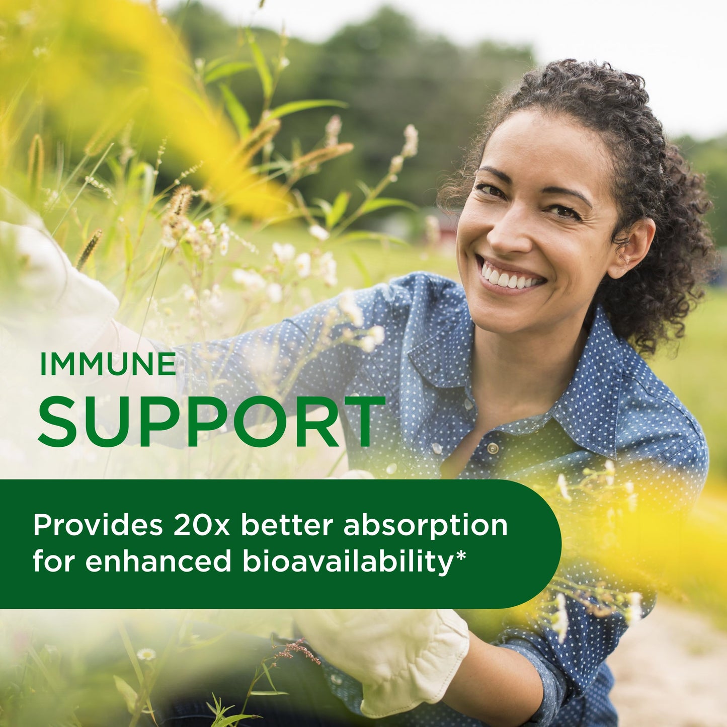Emerald Labs Quercetin Phytosome - Quercetin Complex for Immune Support - Vegan & Gluten-Free Capsules, 60 Count