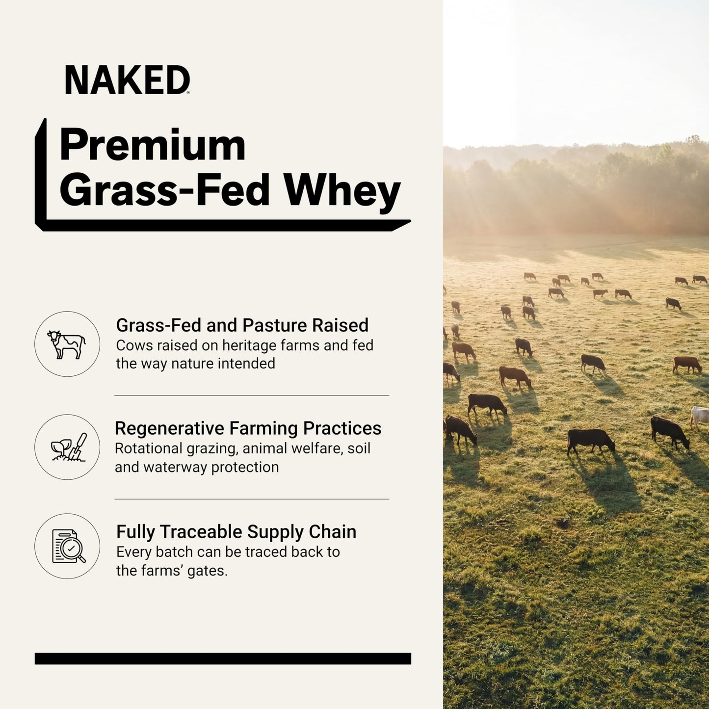 NAKED Vanilla Whey Protein Powder, 16 oz