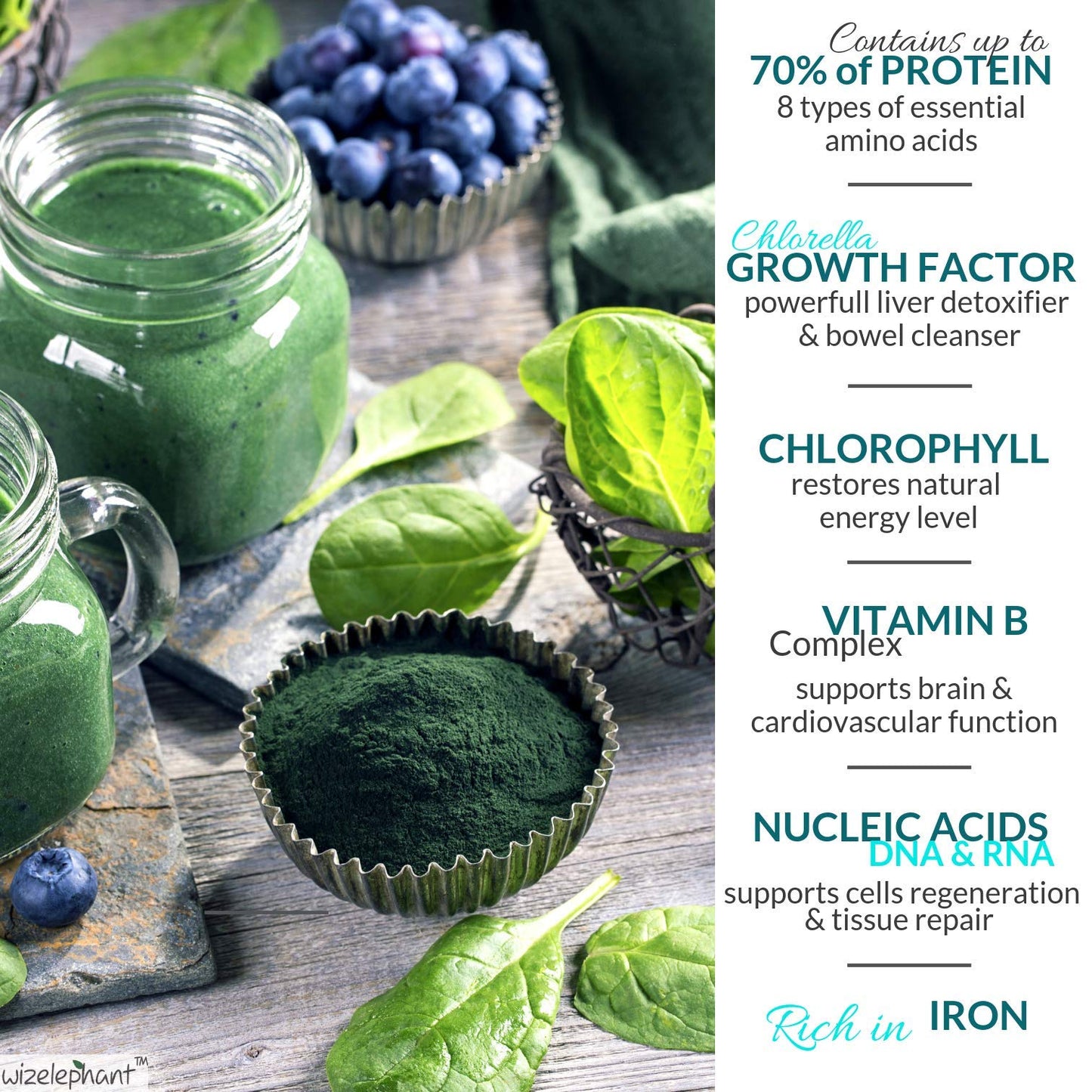Wizelephant Chlorella Spirulina Powder Organic 3.52 oz